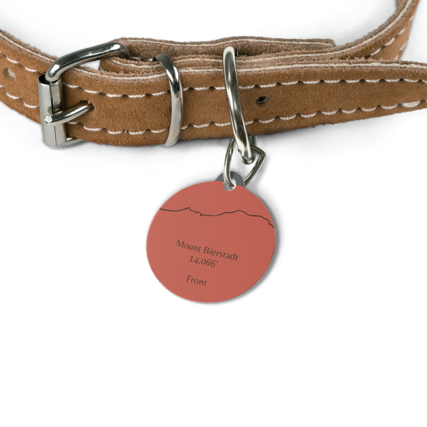 Mount Bierstadt Pet Tag