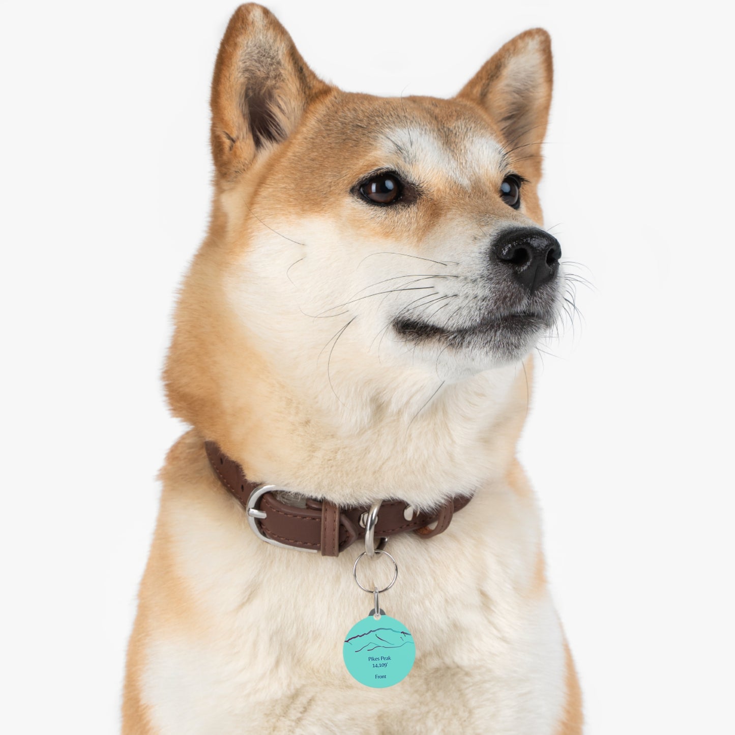 Pikes Peak Pet Tag