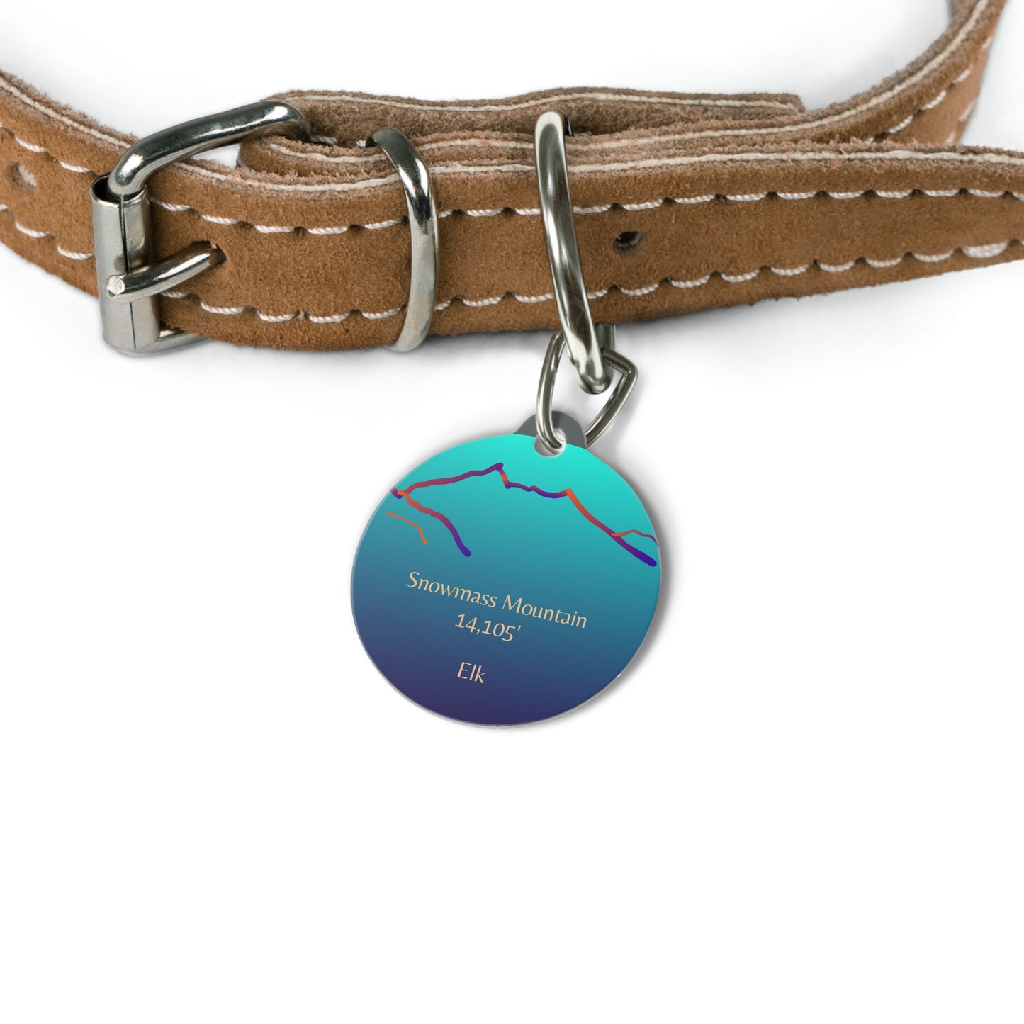 Snowmass Mountain Pet Tag