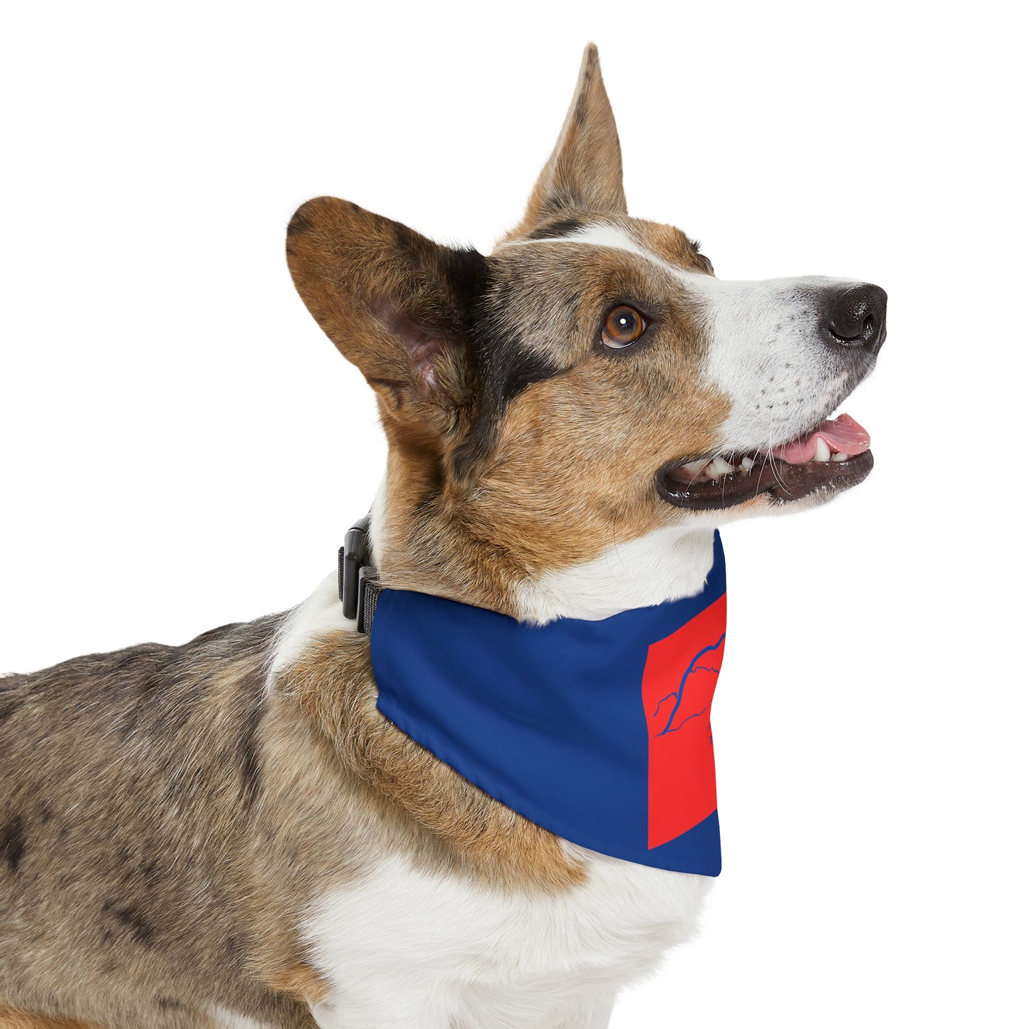 Longs Peak 14er Pet Bandana Collar