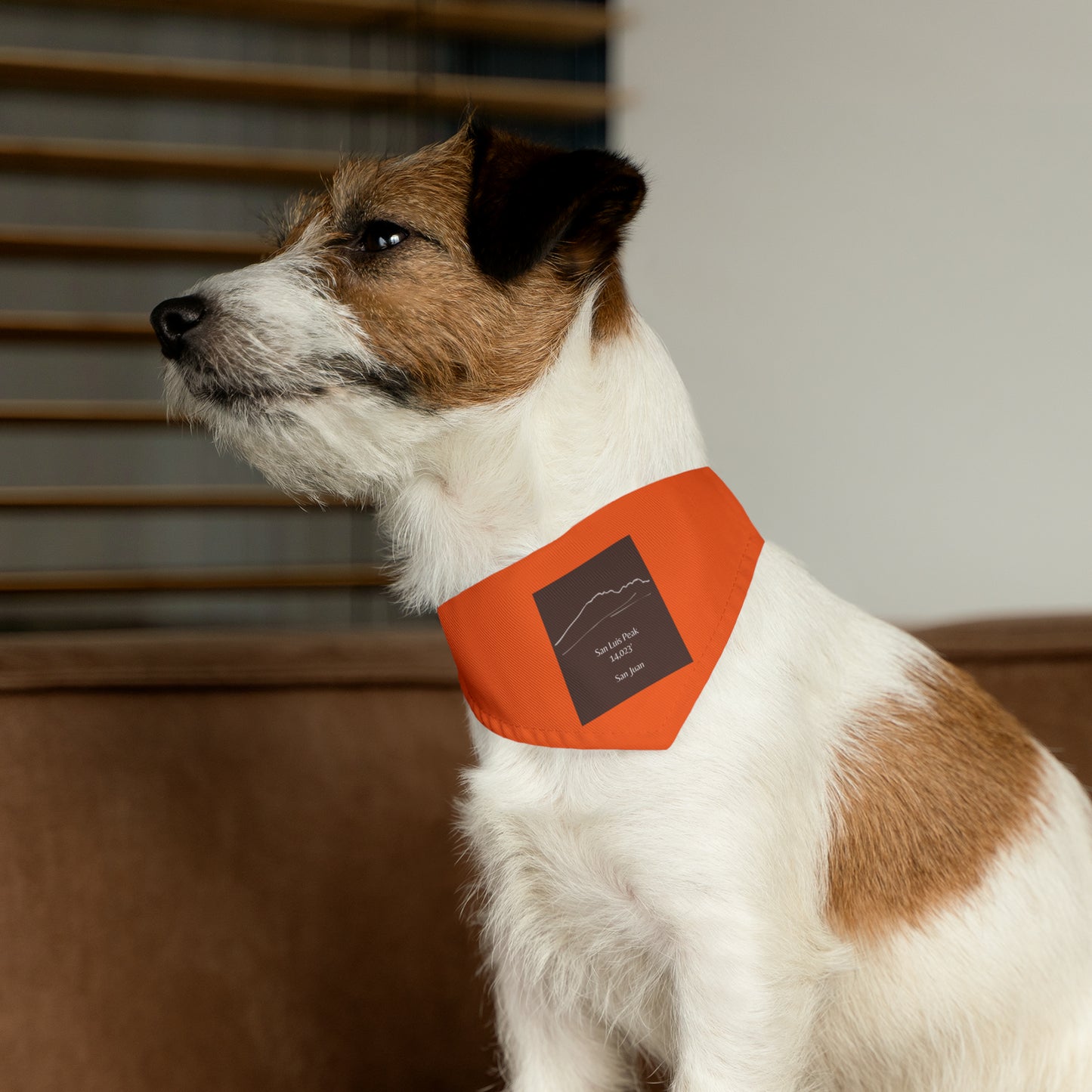 San Luis Peak 14er Pet Bandana Collar