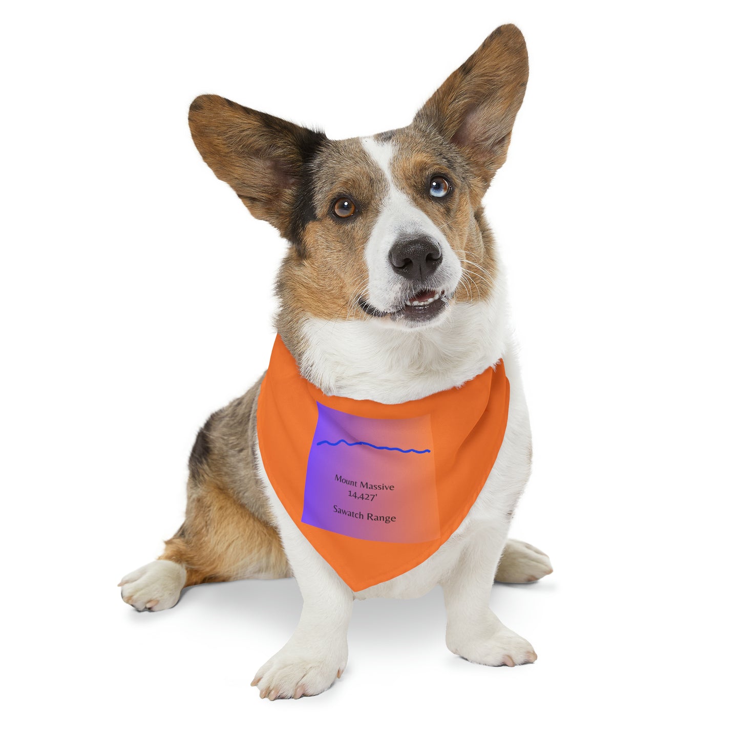 Mount Massive 14er Pet Bandana Collar