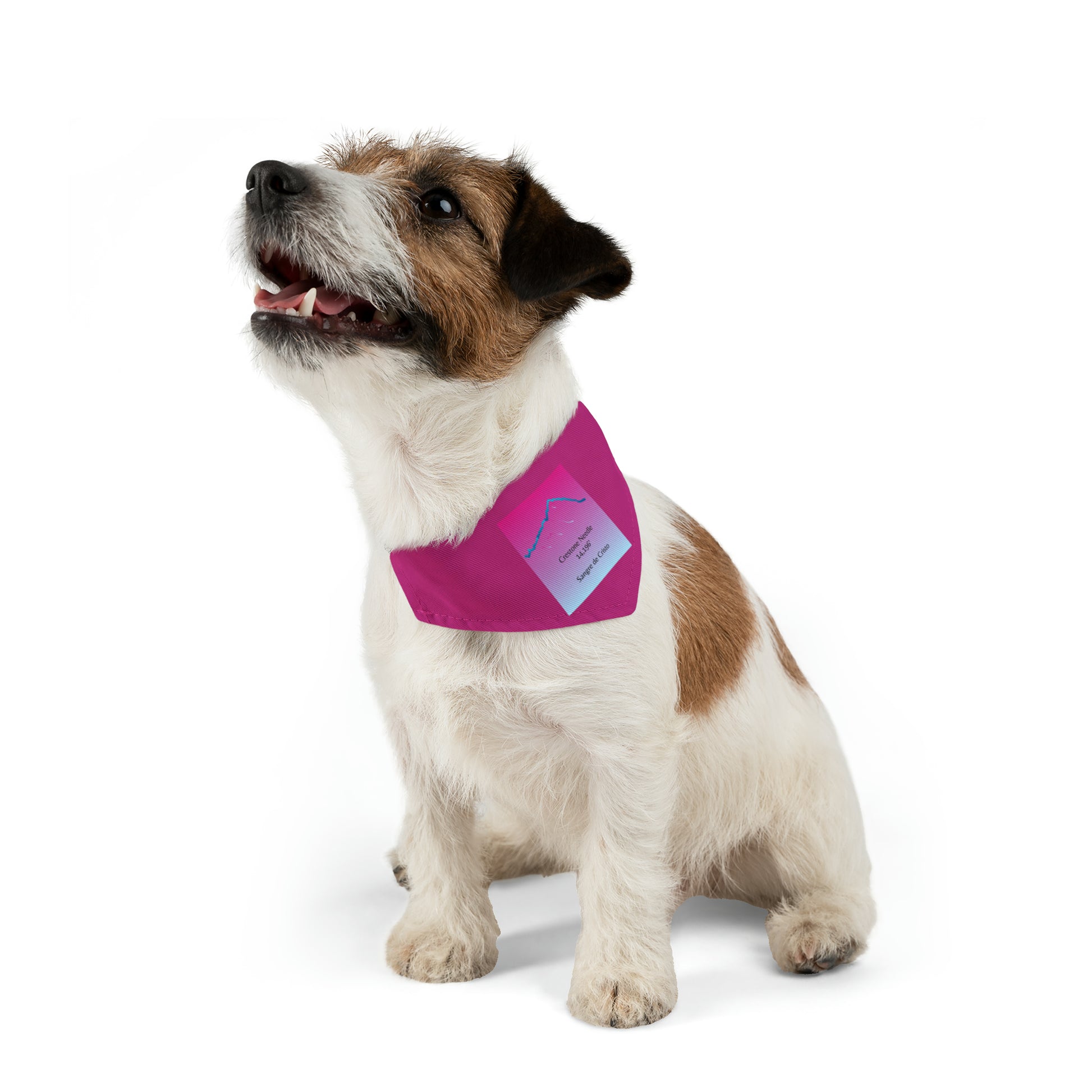 Crestone Needle 14er Dog Bandana 1