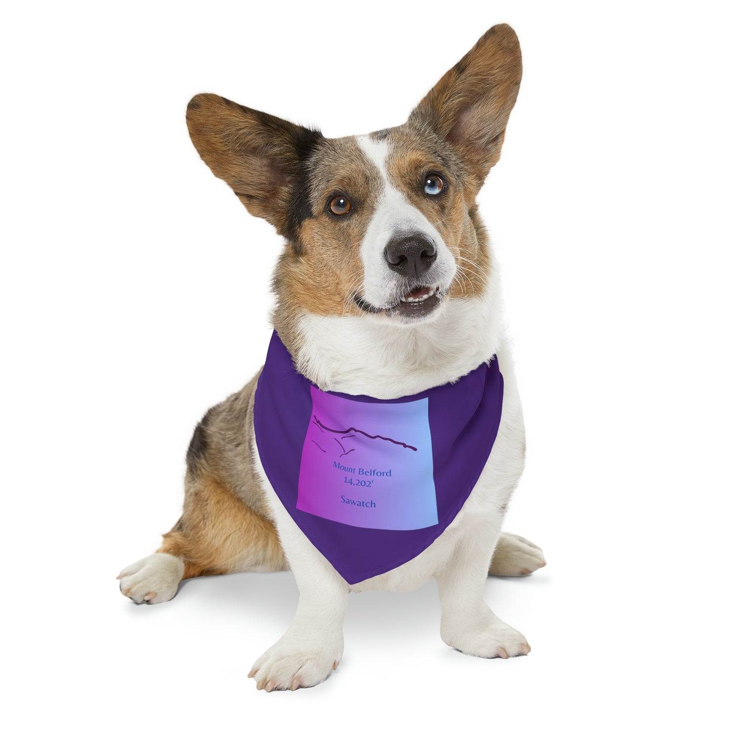 Mount Belford 14er Pet Bandana Collar