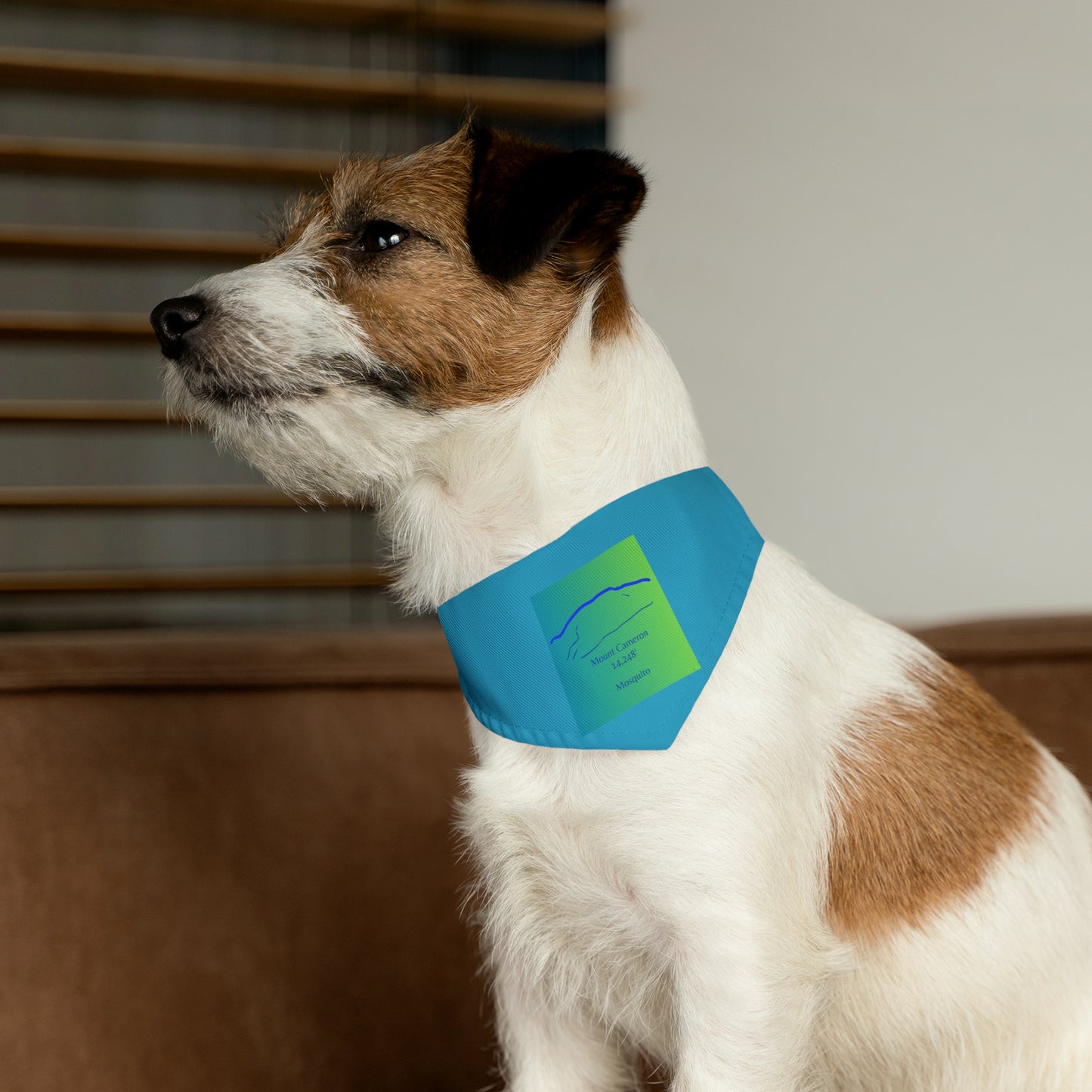 Mount Cameron 14er Pet Bandana Collar