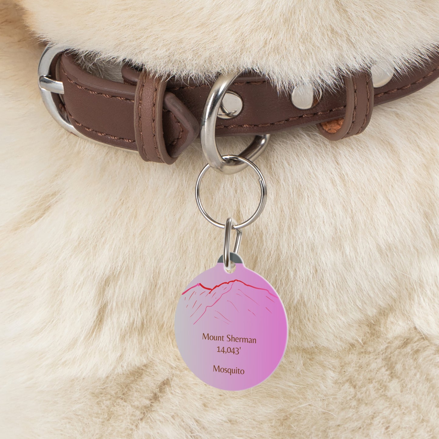Mount Sherman Pet Tag