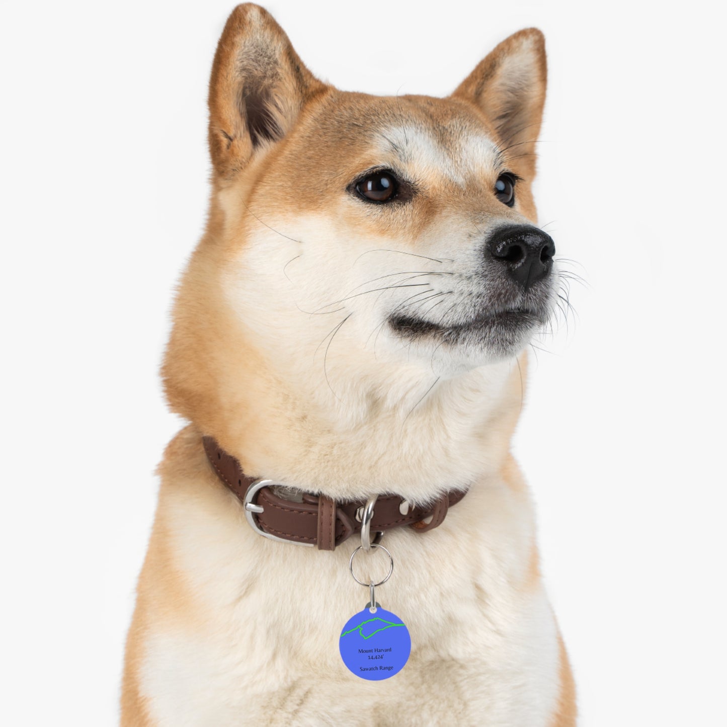 Mount Harvard Pet Tag