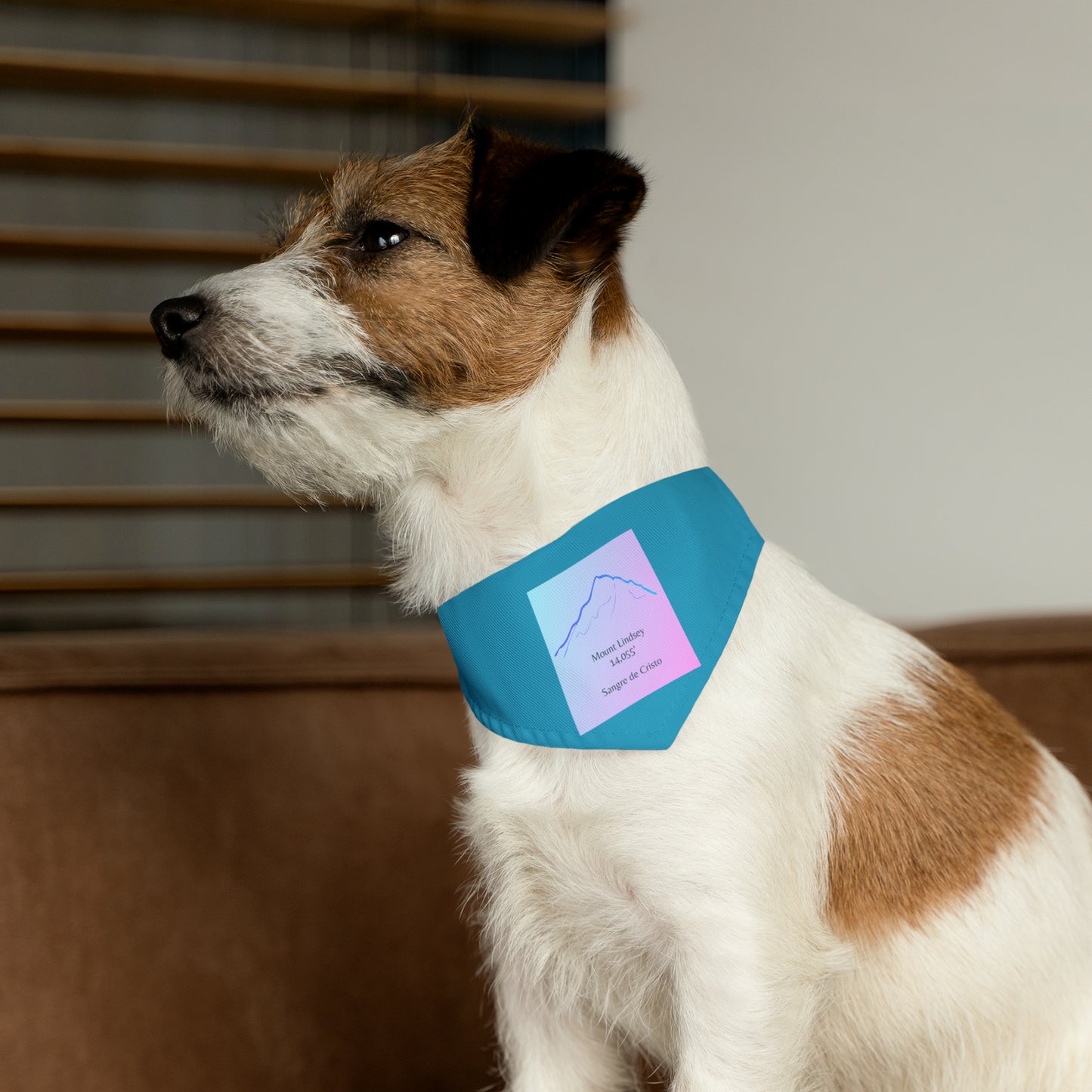 Mount Lindsey 14er Pet Bandana Collar