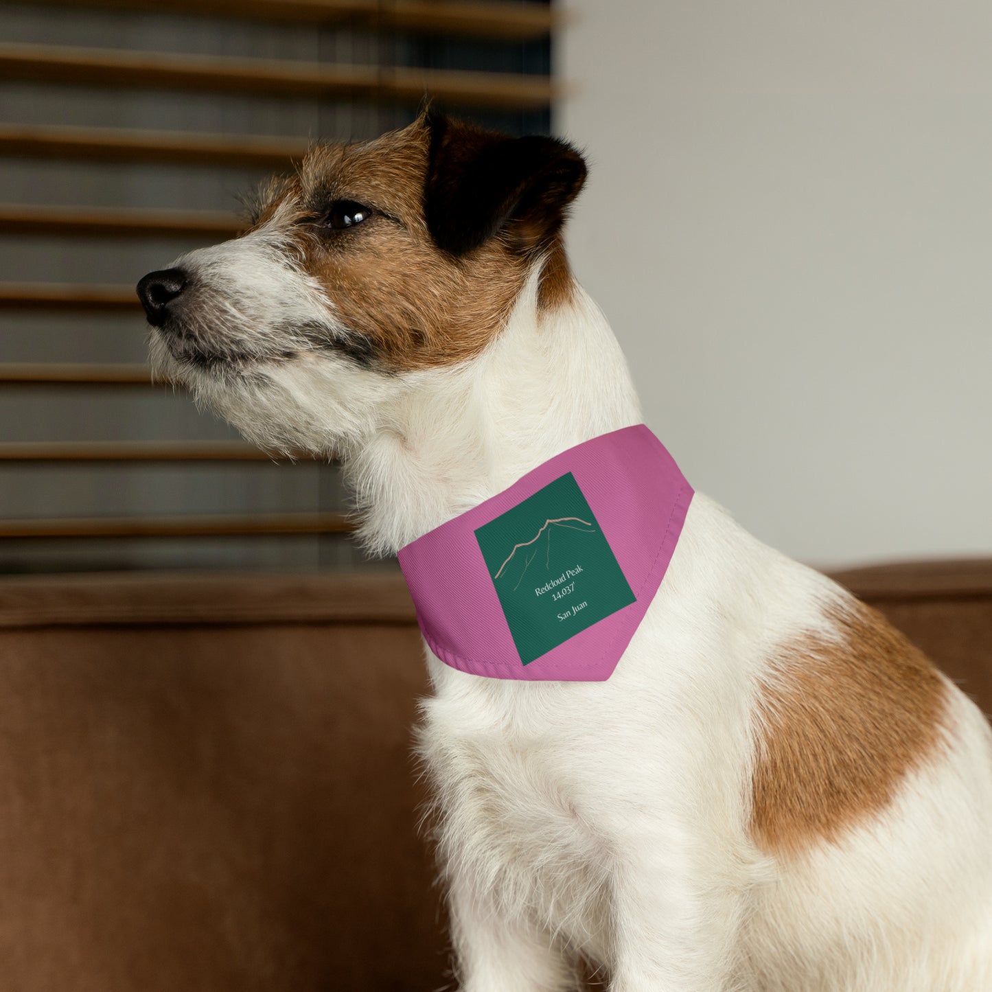 Redcloud Peak 14er Pet Bandana Collar