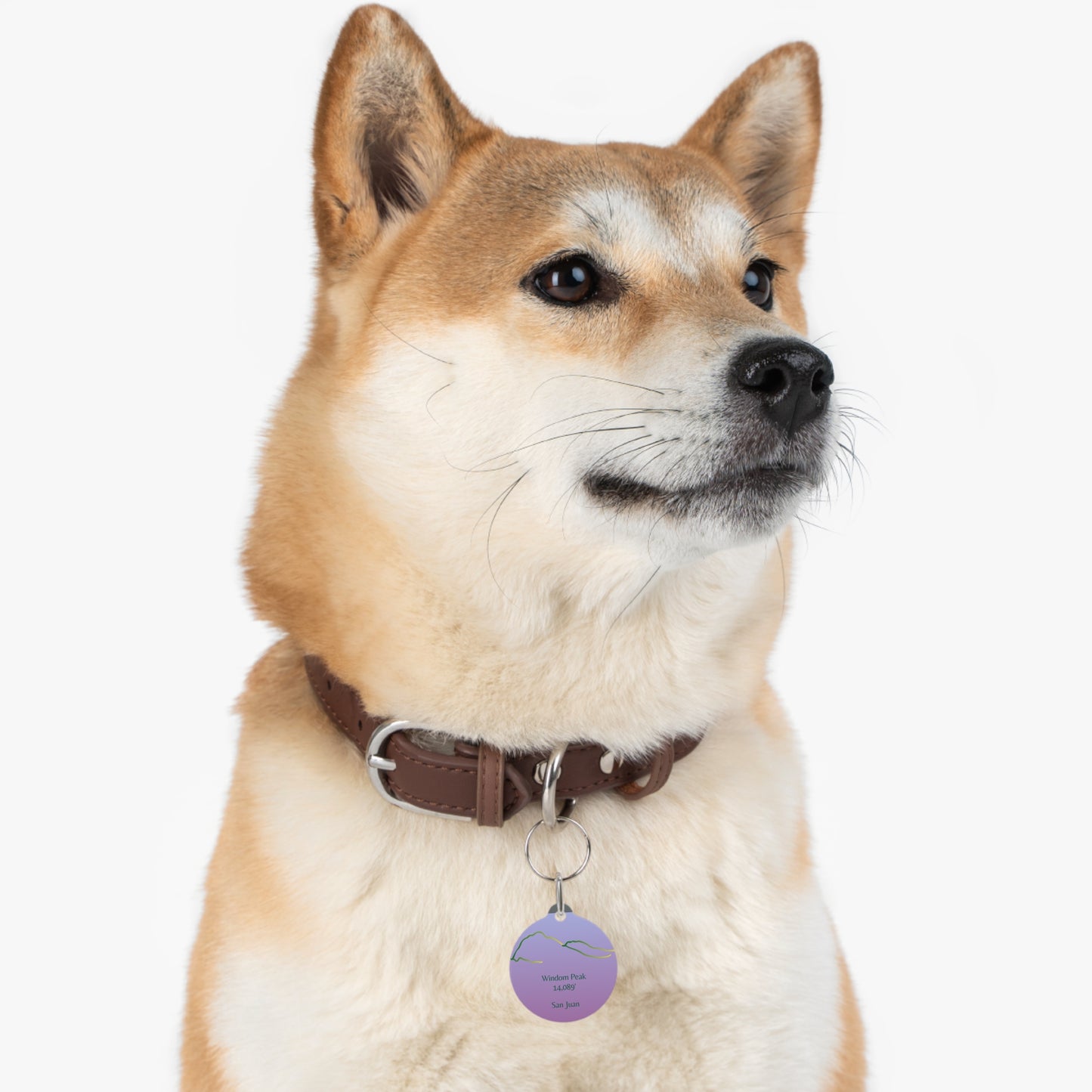 Windom Peak 14er Pet Tag