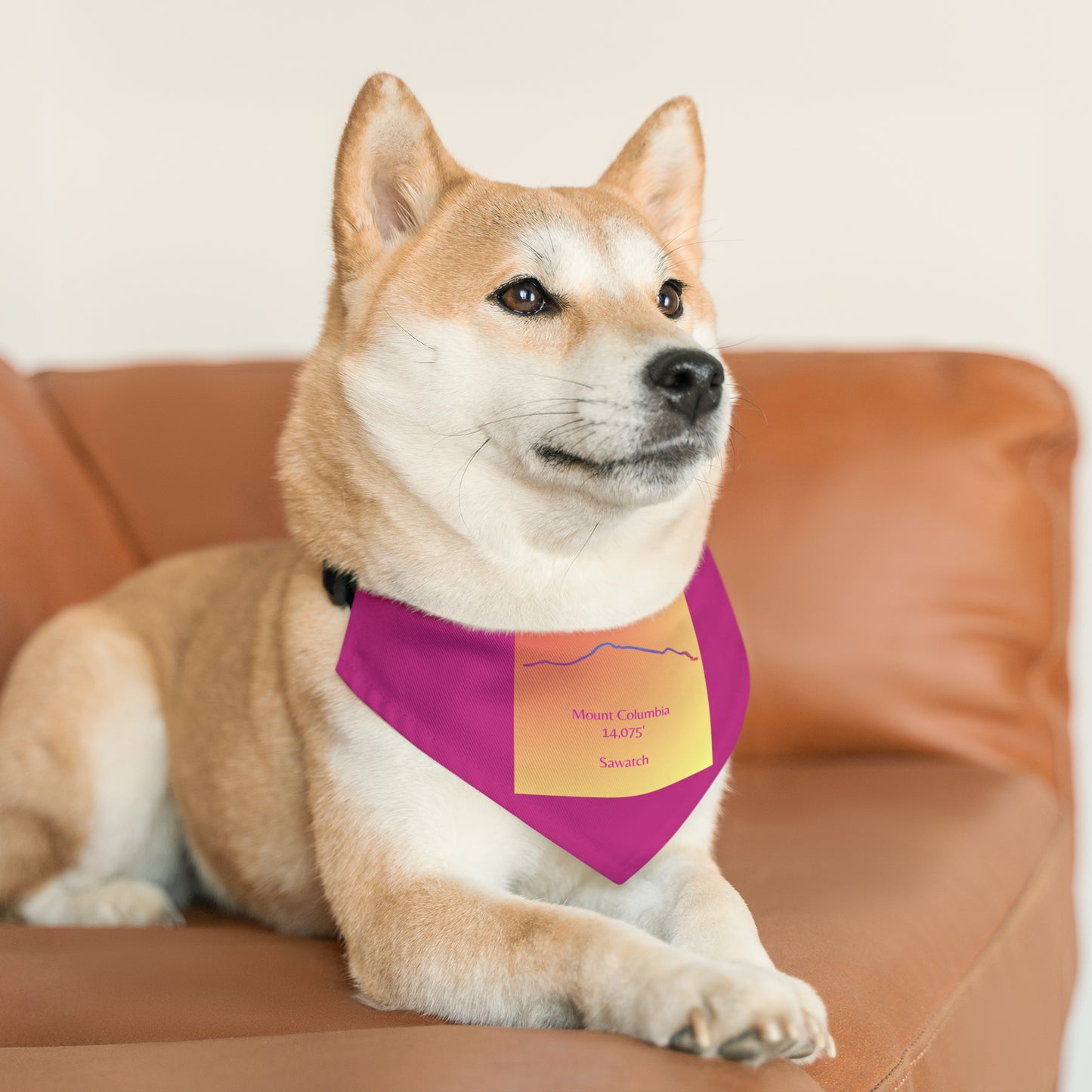 Mount Columbia 14er Pet Bandana Collar