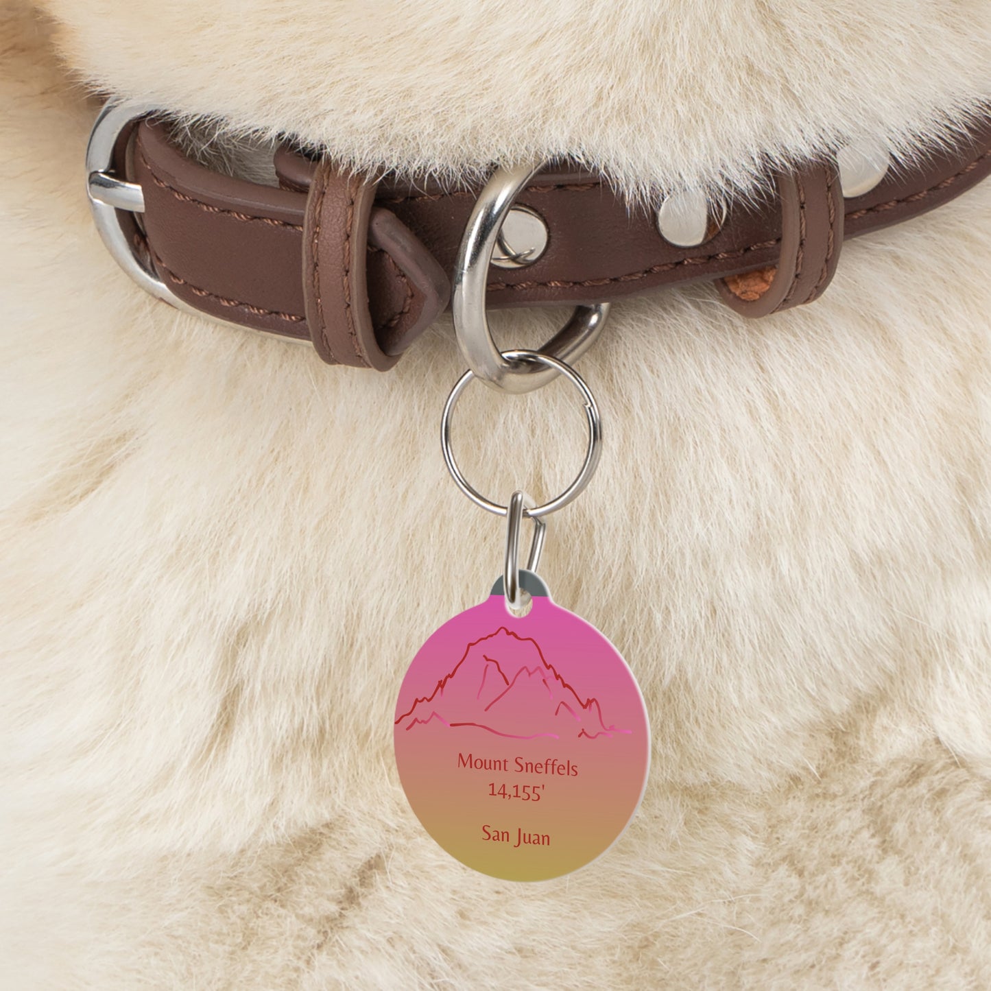 Mount Sneffels Pet Tag