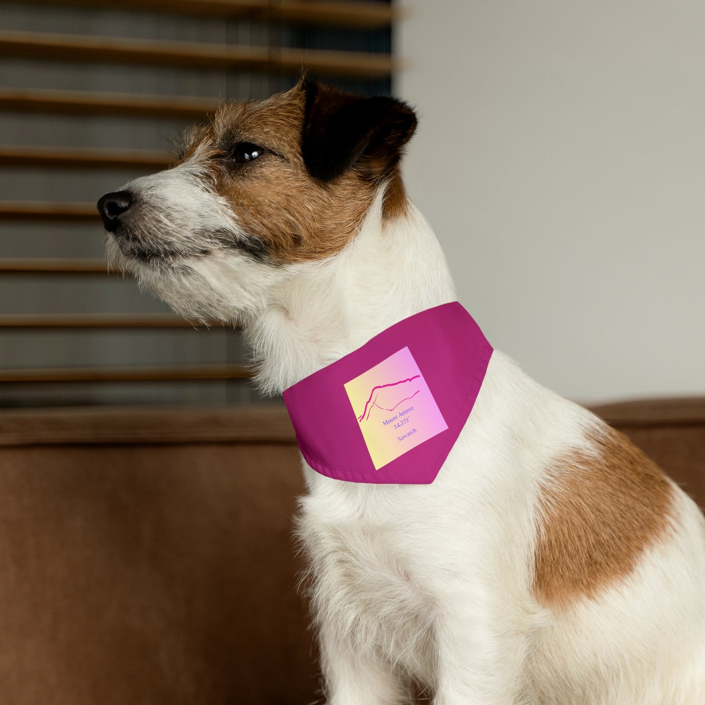 Mount Antero 14er Pet Bandana Collar