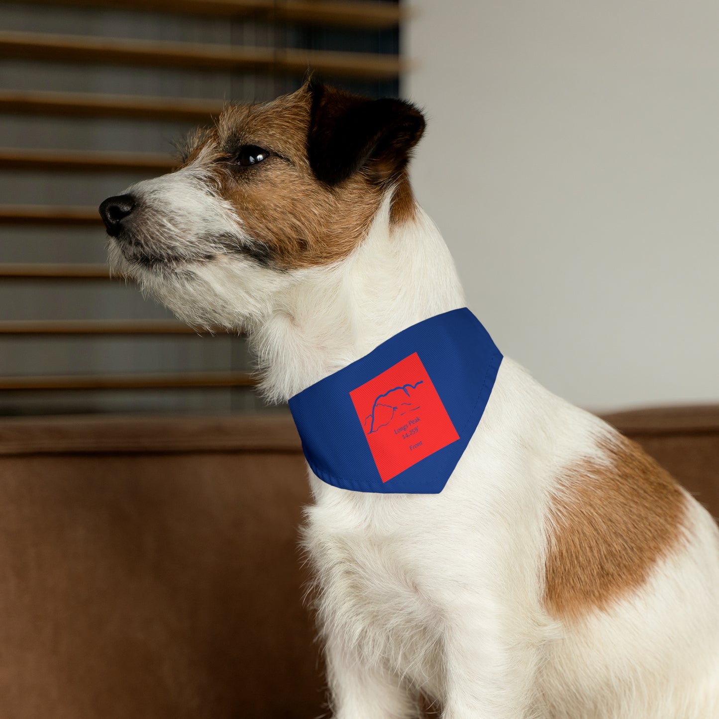 Longs Peak 14er Pet Bandana Collar