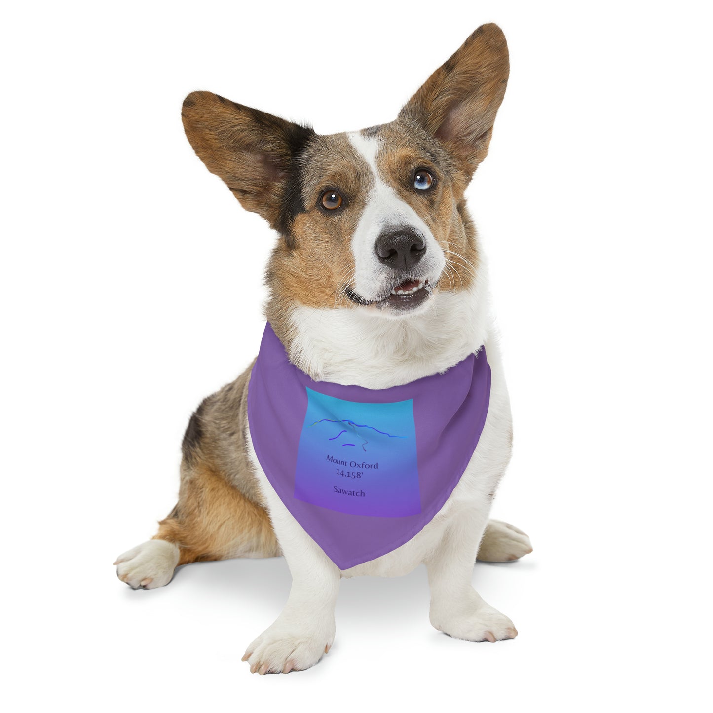 Mount Oxford 14er Pet Bandana Collar