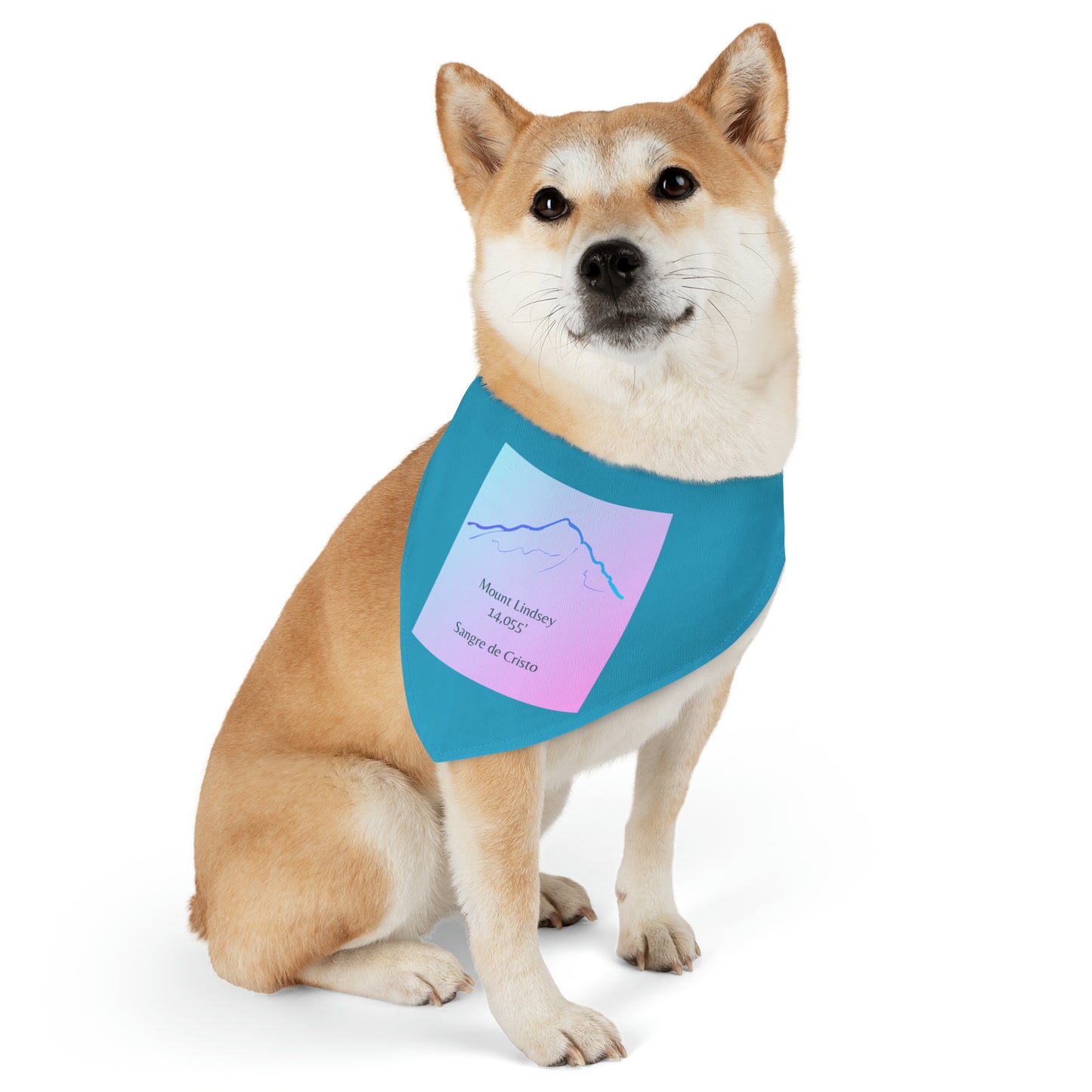Mount Lindsey 14er Pet Bandana Collar