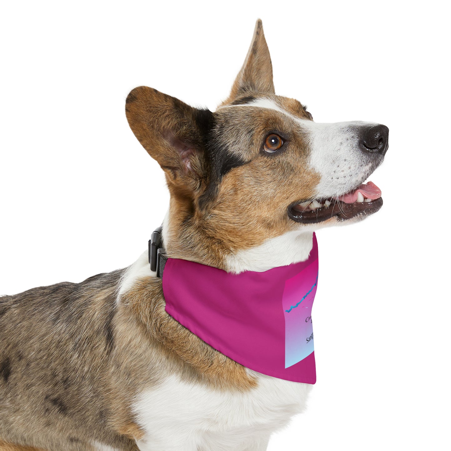 Crestone Needle 14er Dog Bandana 11