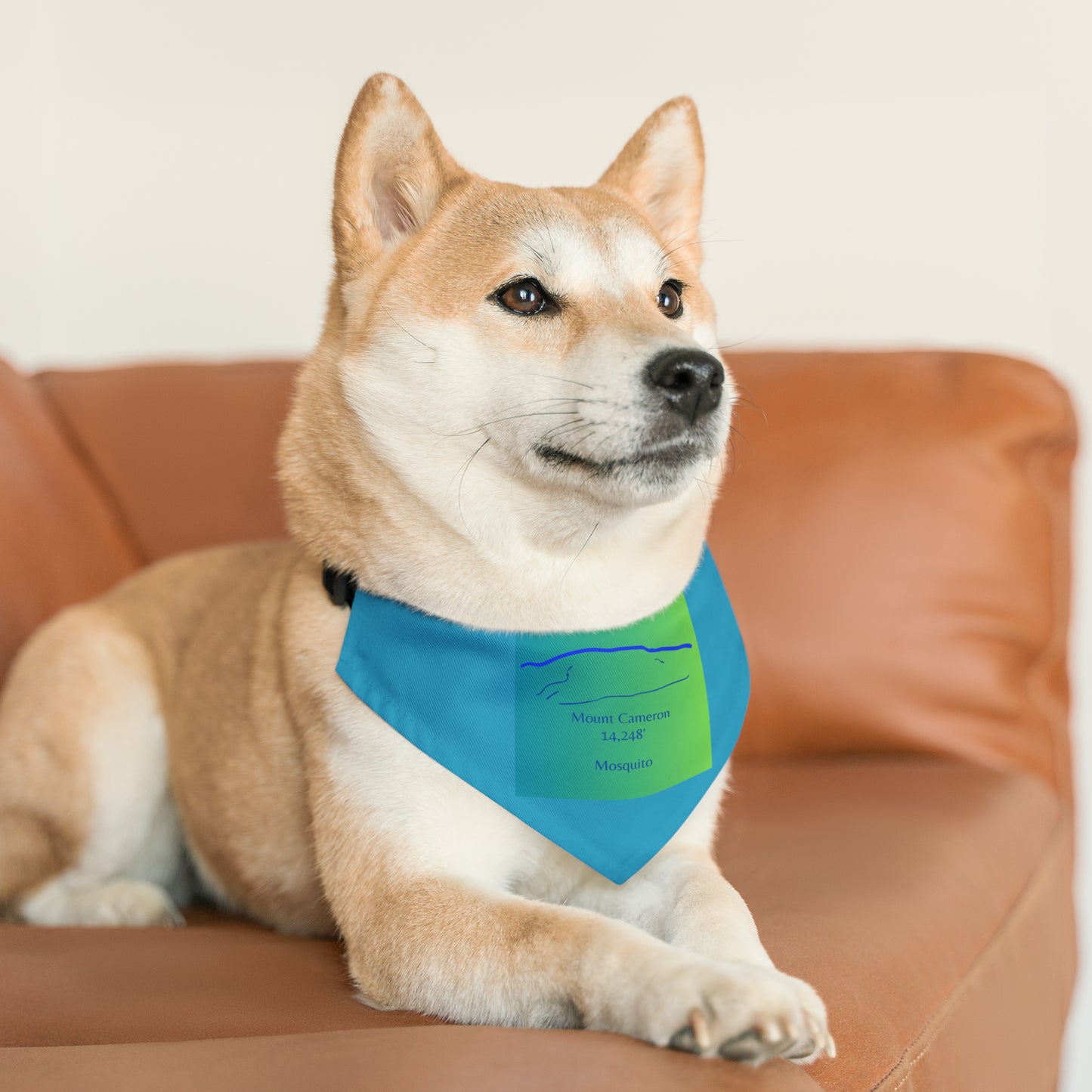 Mount Cameron 14er Pet Bandana Collar