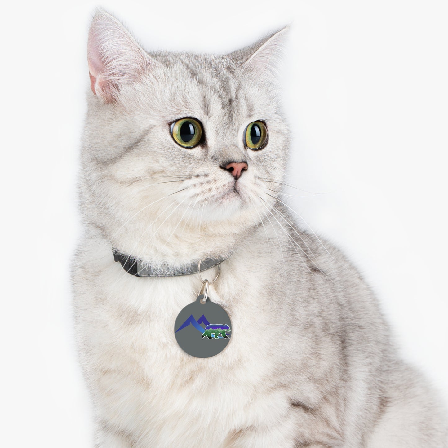 Mountain Bear Pet Tag