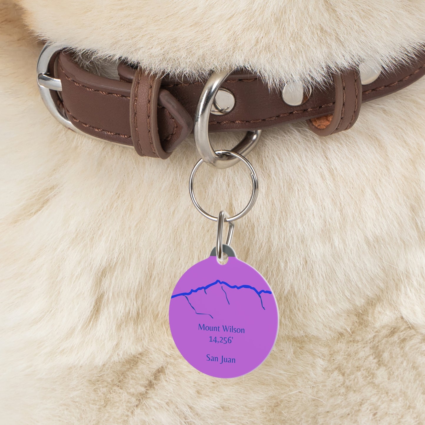 Mount Wilson Pet Tag