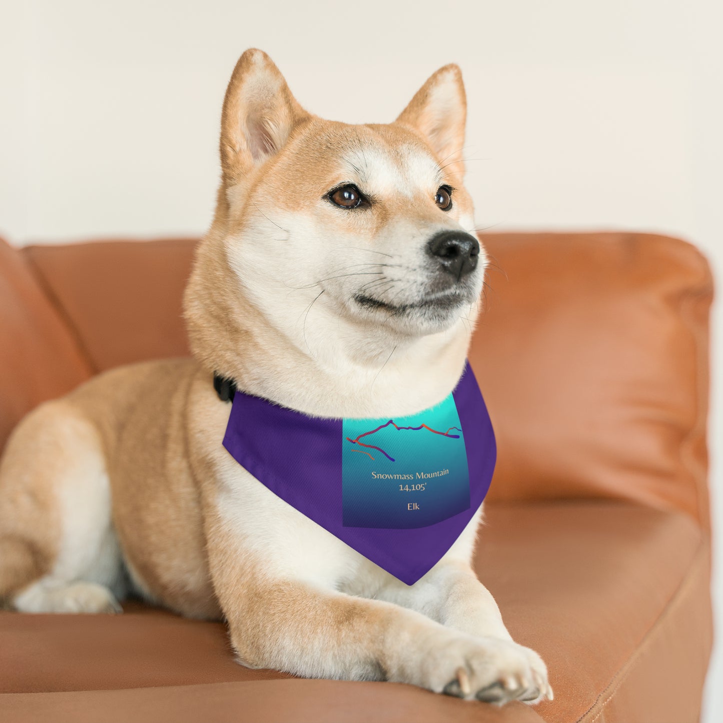 Snowmass Mountain 14er Pet Bandana Collar