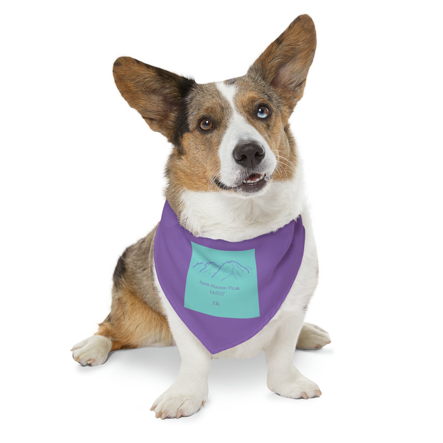 North Maroon Peak 14er Pet Bandana Collar