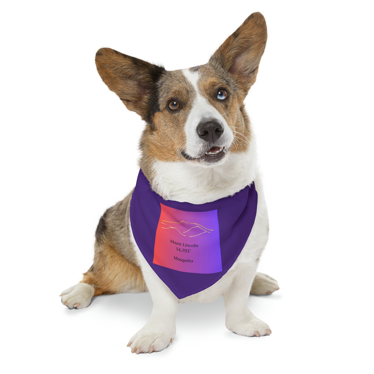 Mount Lincoln 14er Pet Bandana Collar
