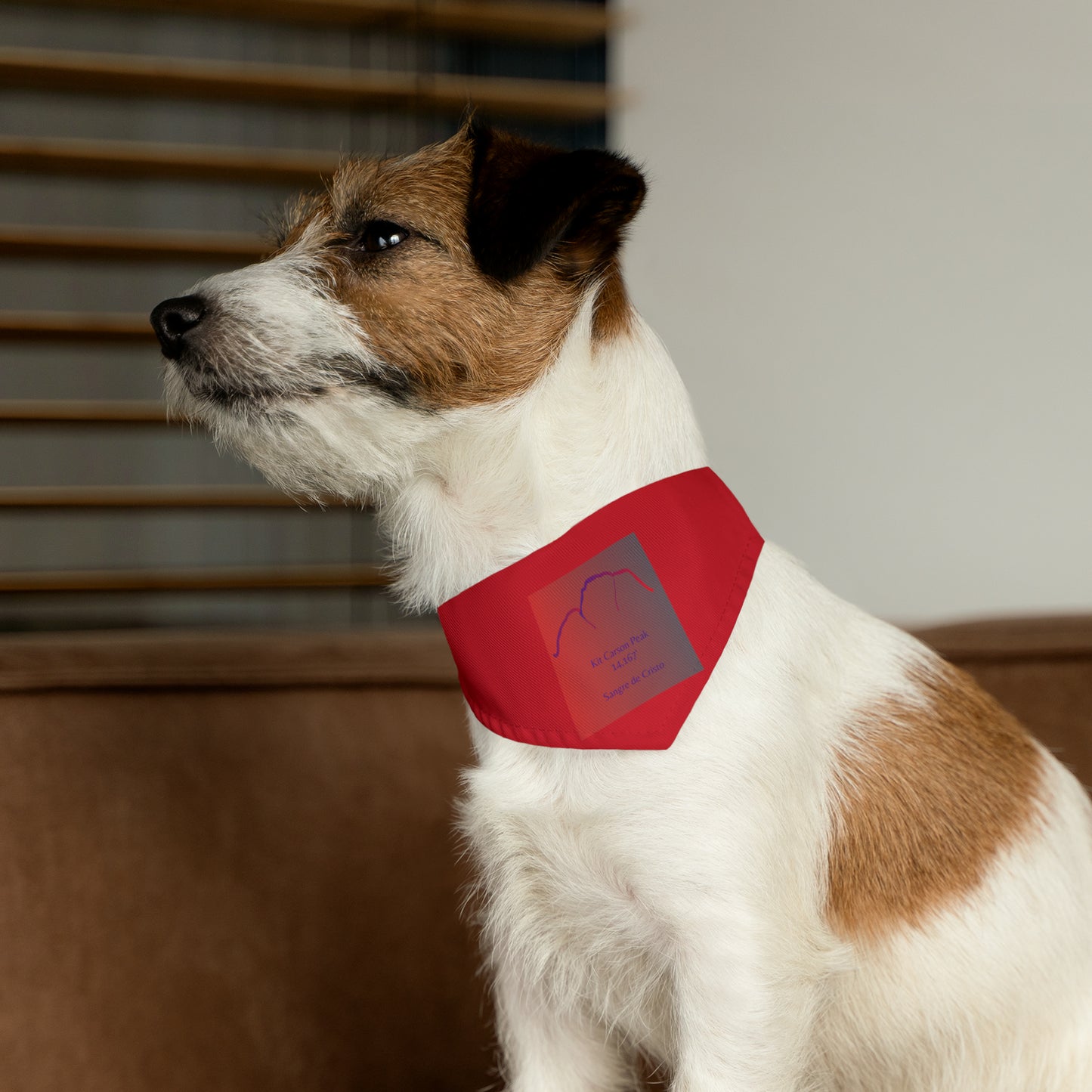 Kit Carson Peak 14er Pet Bandana Collar
