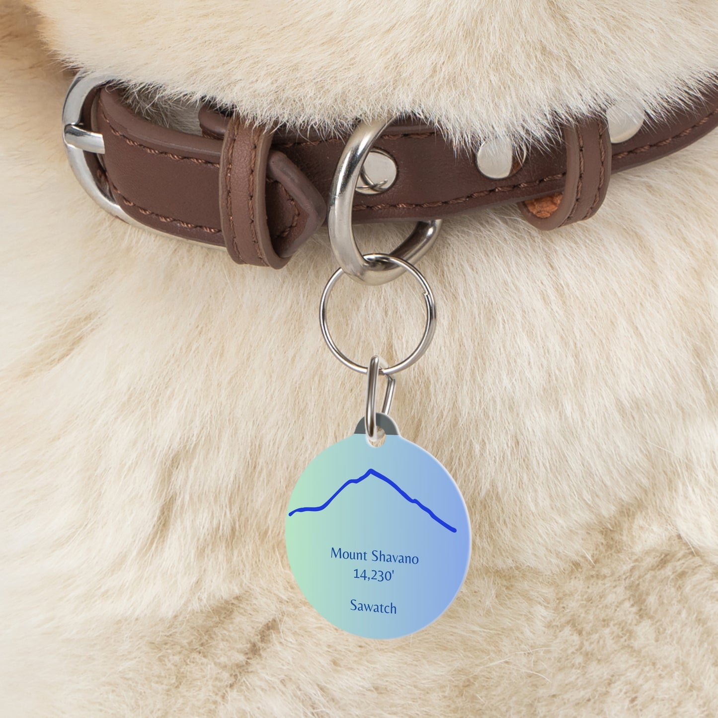 Mount Shavano Pet Tag