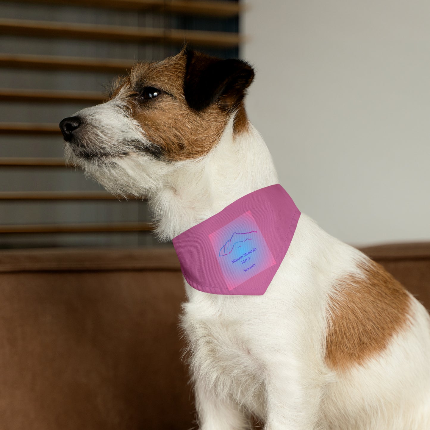 Missouri Mountain 14er Pet Bandana Collar