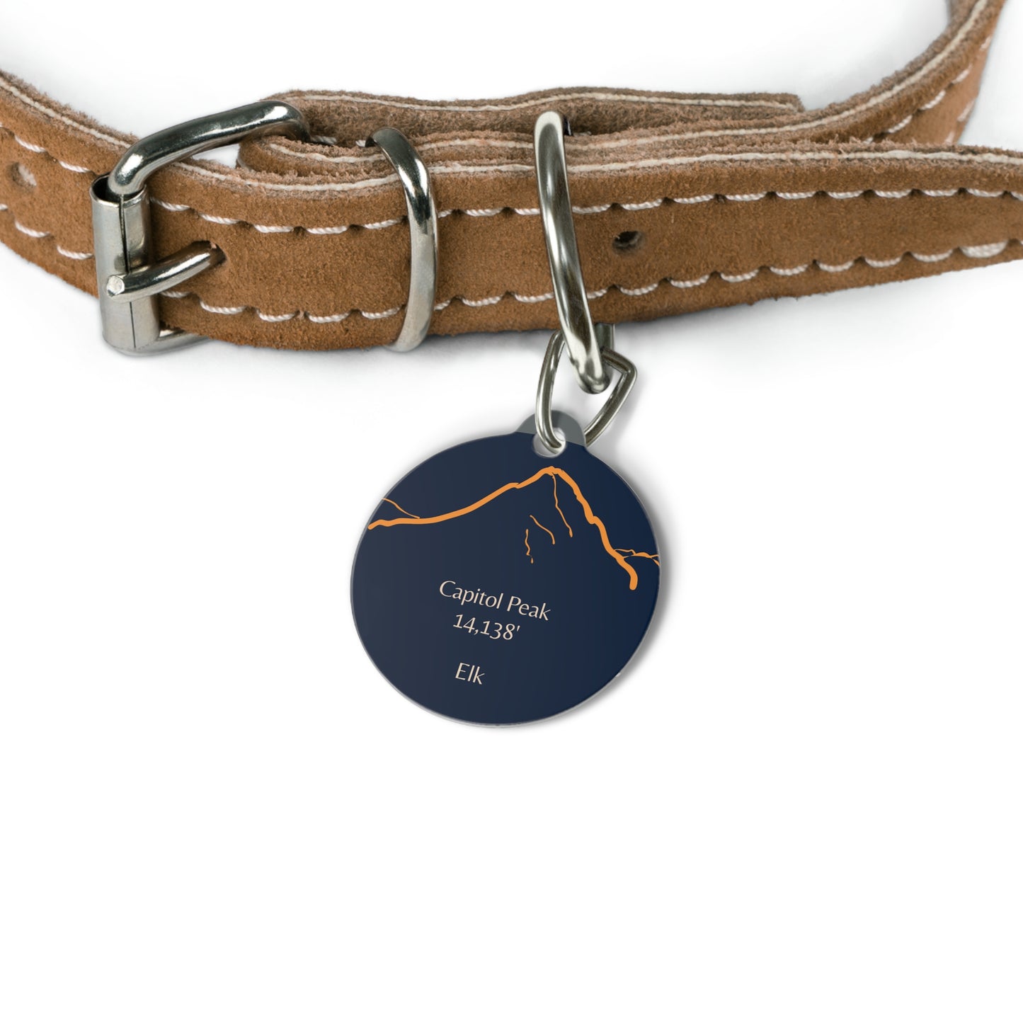 Capitol Peak Pet Tag