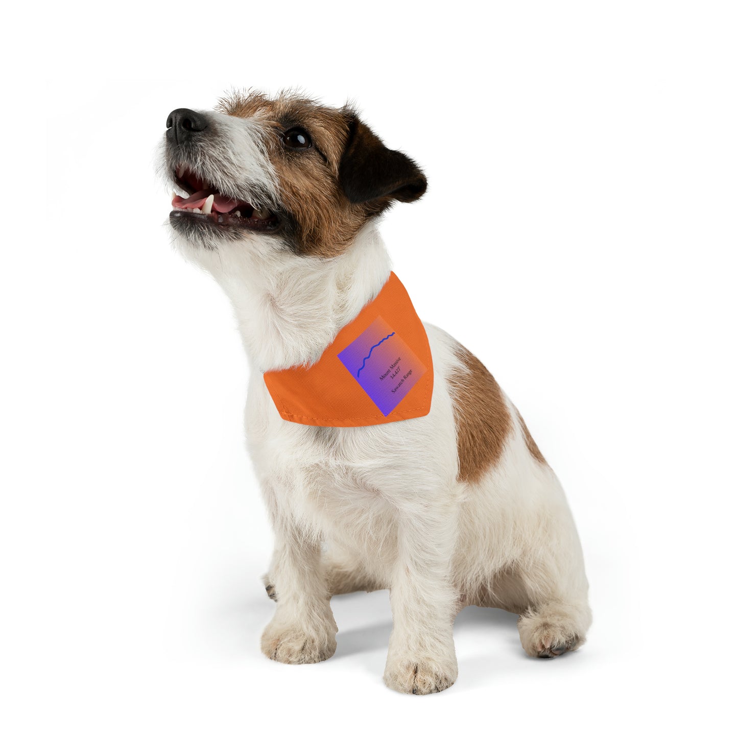 Mount Massive 14er Pet Bandana Collar