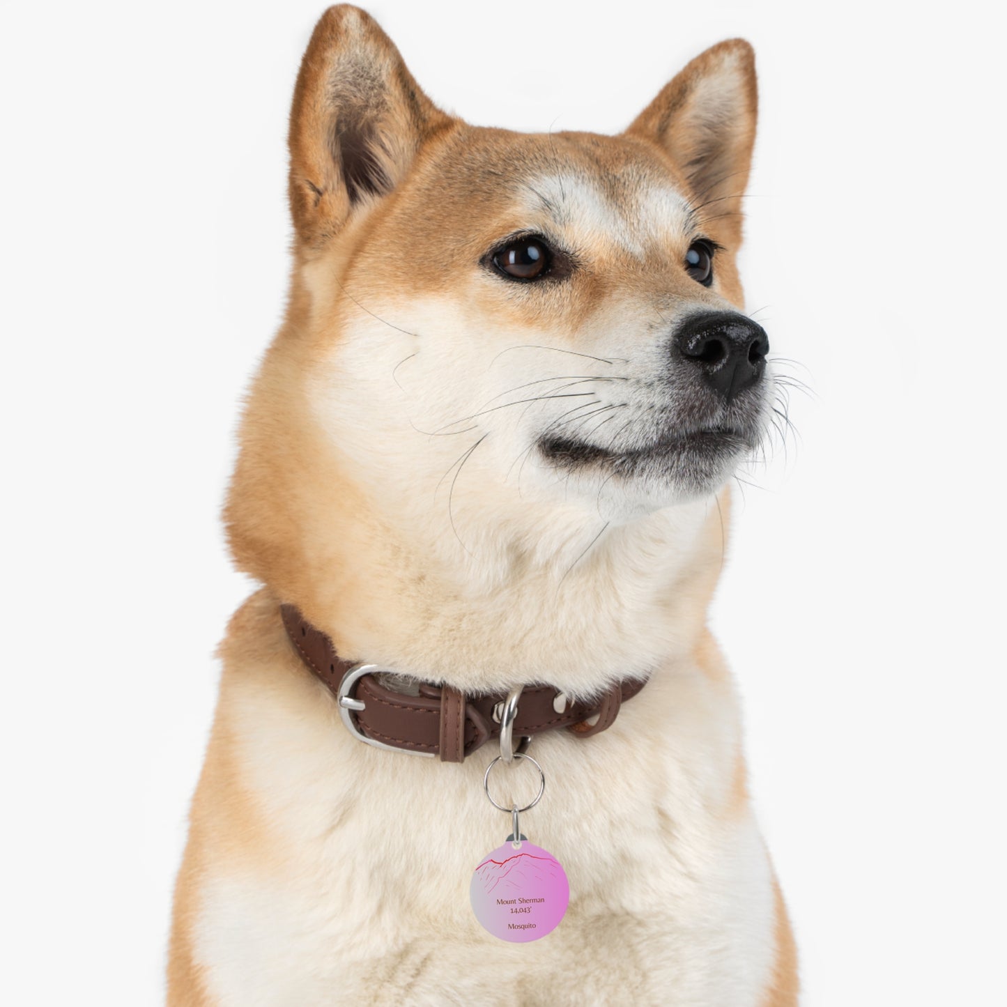 Mount Sherman Pet Tag