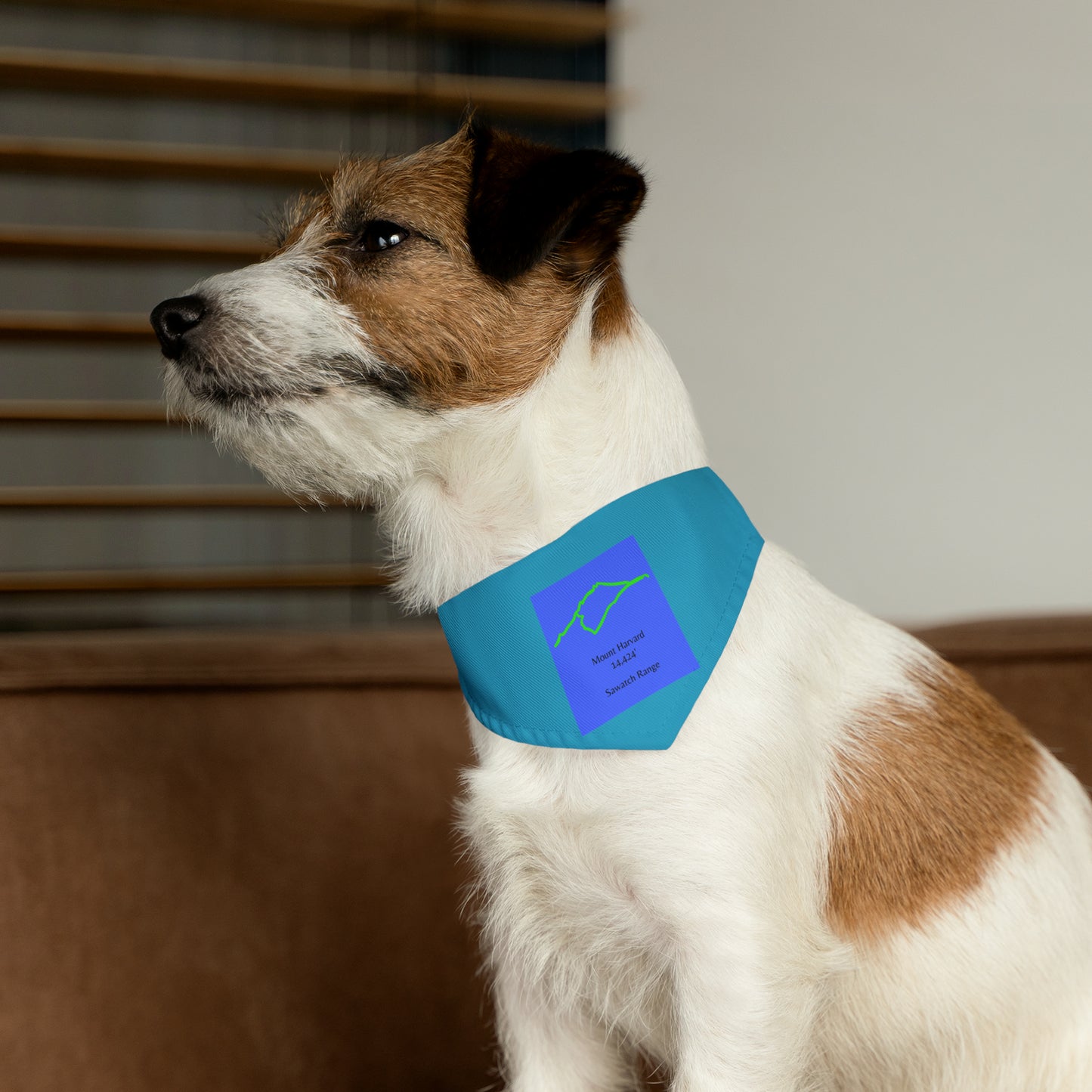 Mount Harvard 14er Pet Bandana Collar