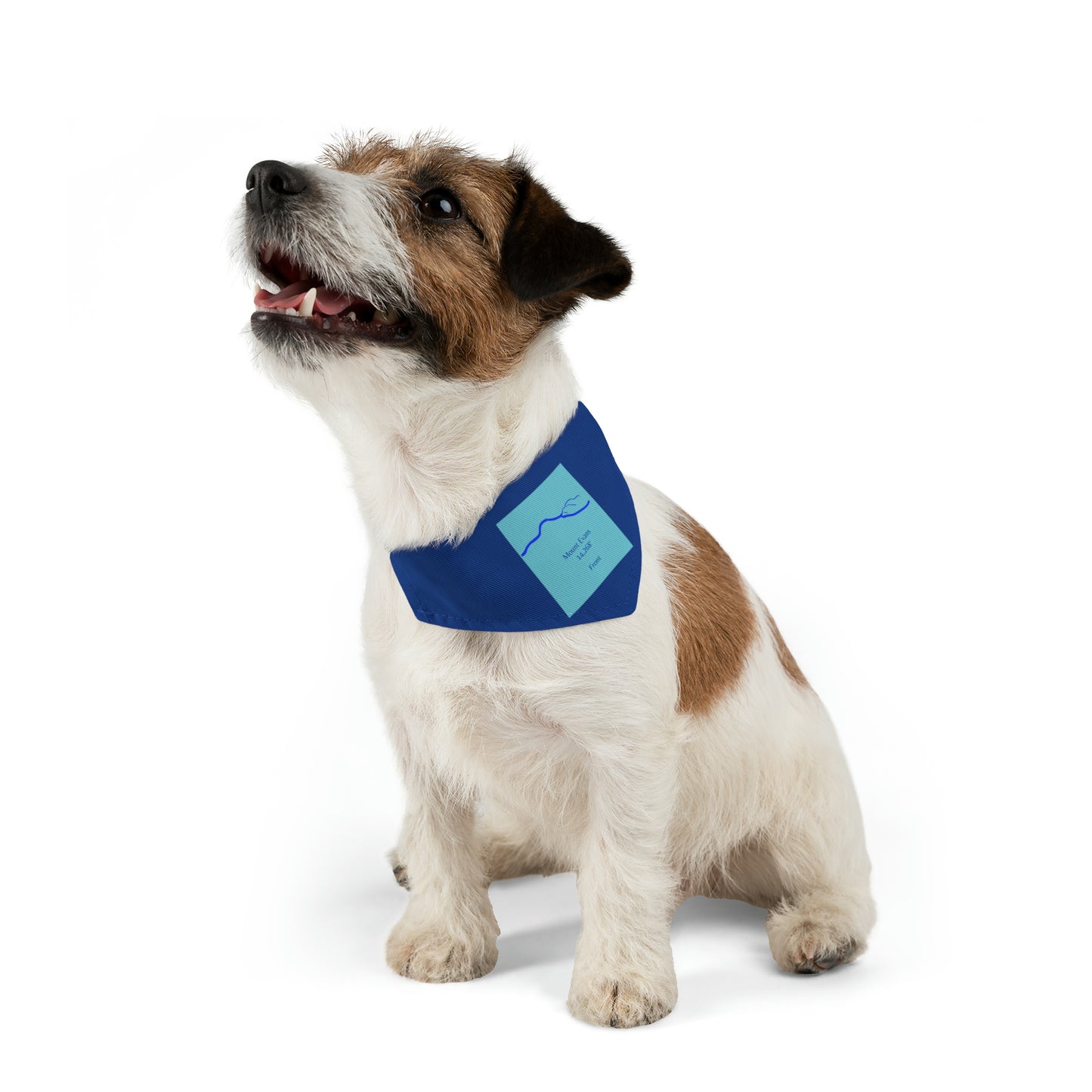 Mount Evans 14er Pet Bandana Collar