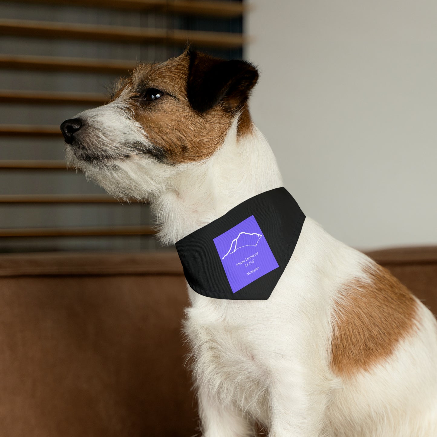 Mount Democrat 14er Pet Bandana Collar