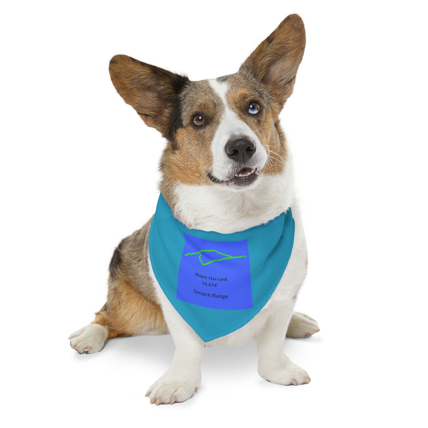 Mount Harvard 14er Pet Bandana Collar
