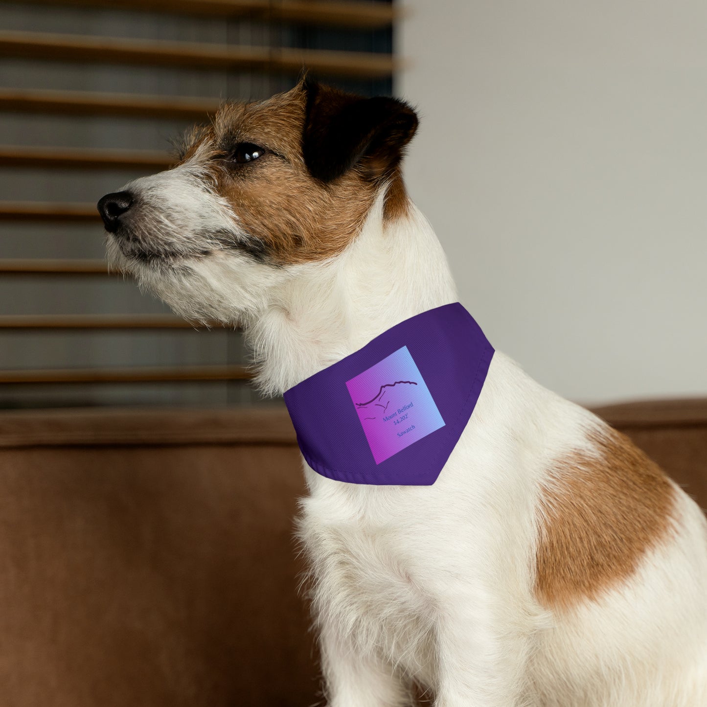 Mount Belford 14er Pet Bandana Collar