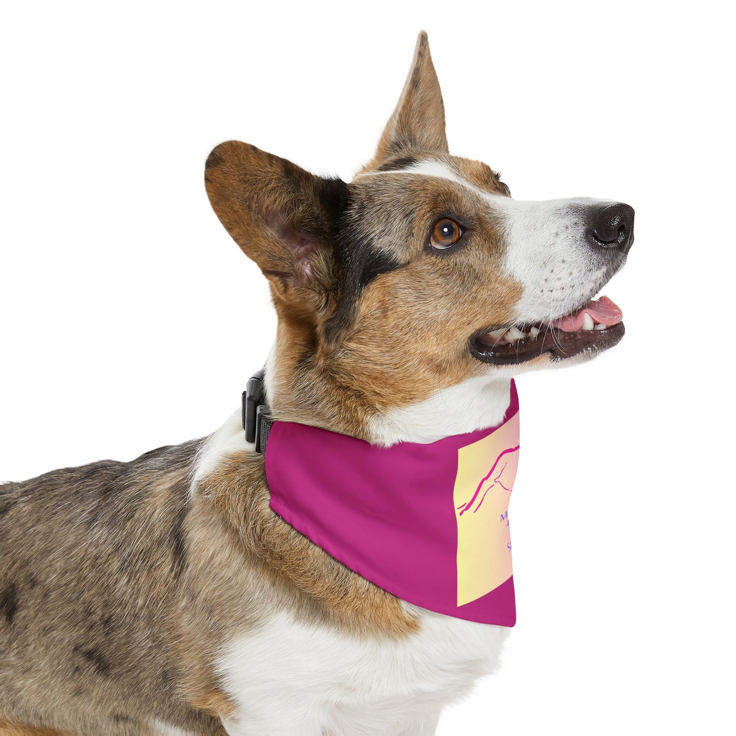 Mount Antero 14er Pet Bandana Collar