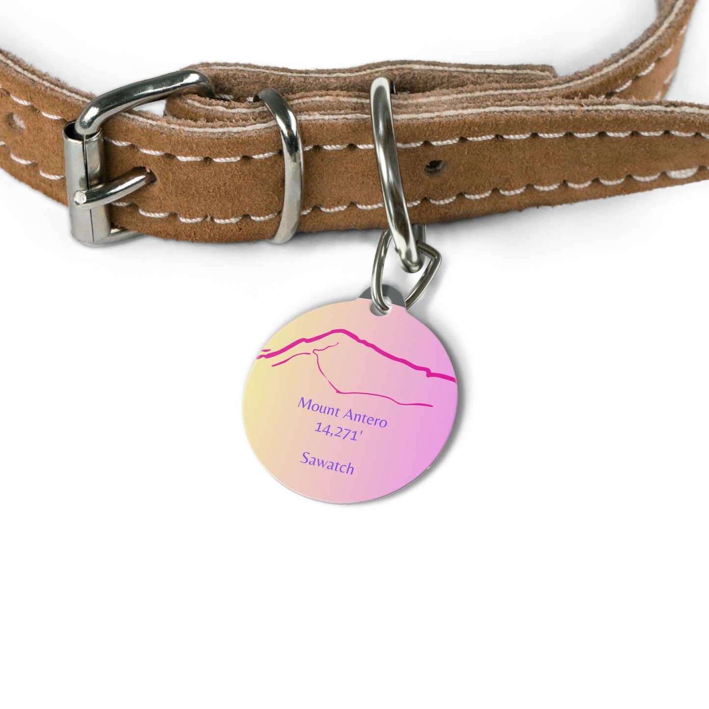 Mount Antero Pet Tag