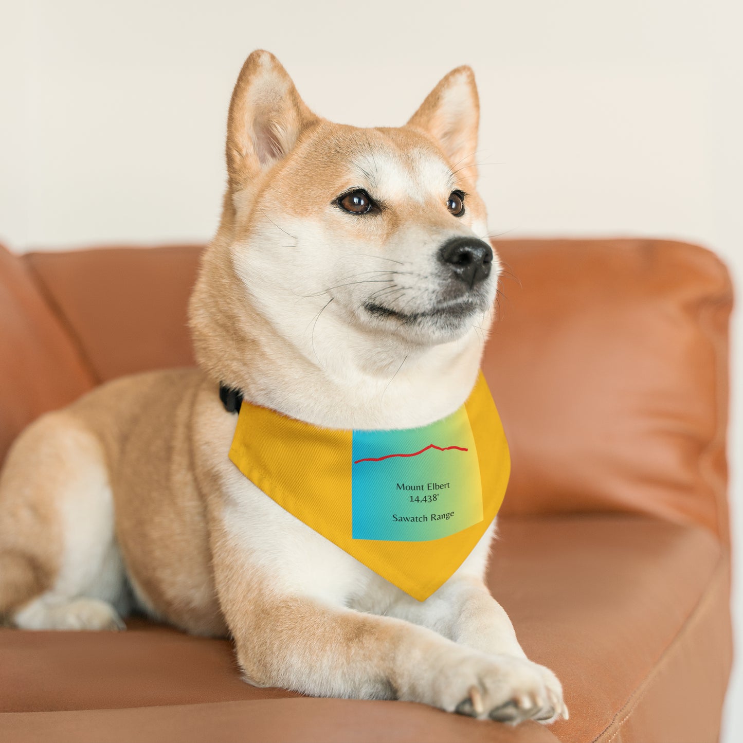 Mount Elbert 14er Pet Bandana Collar