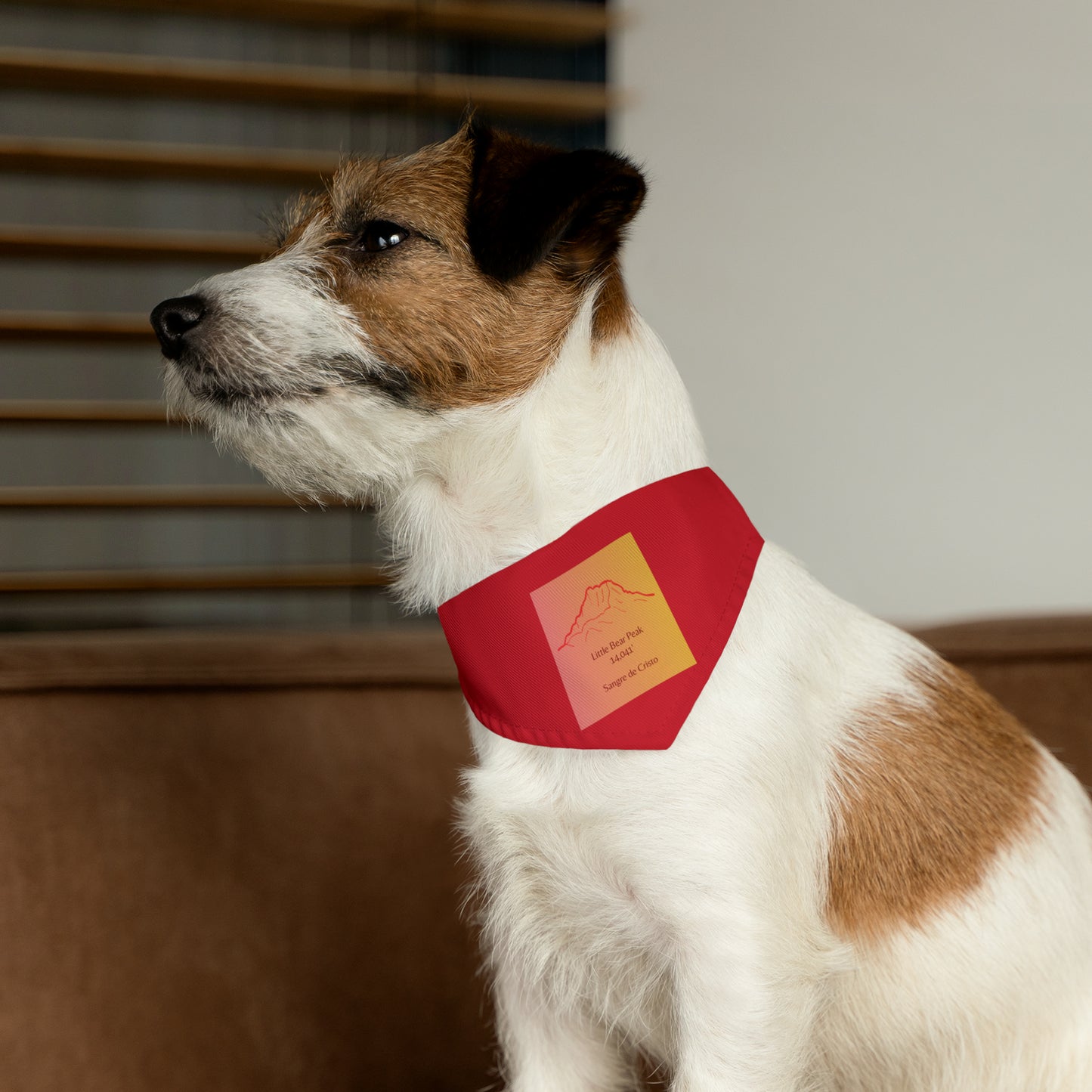 Little Bear Peak 14er Pet Bandana Collar