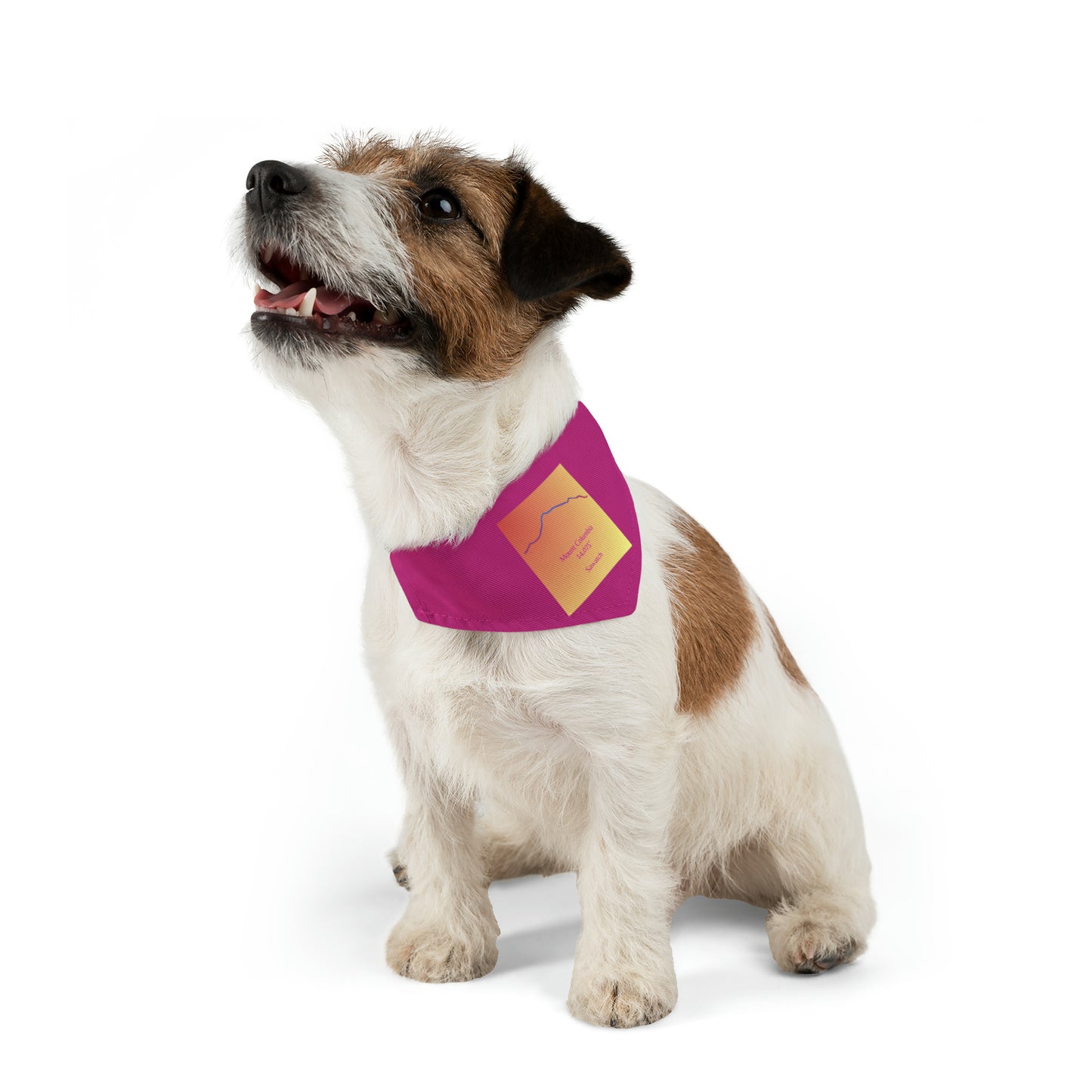 Mount Columbia 14er Pet Bandana Collar