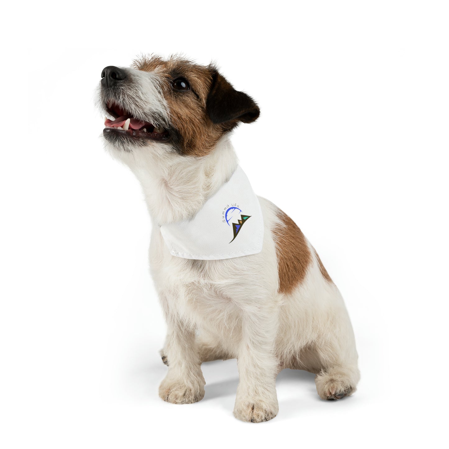 Summit Life Pet Bandana Collar