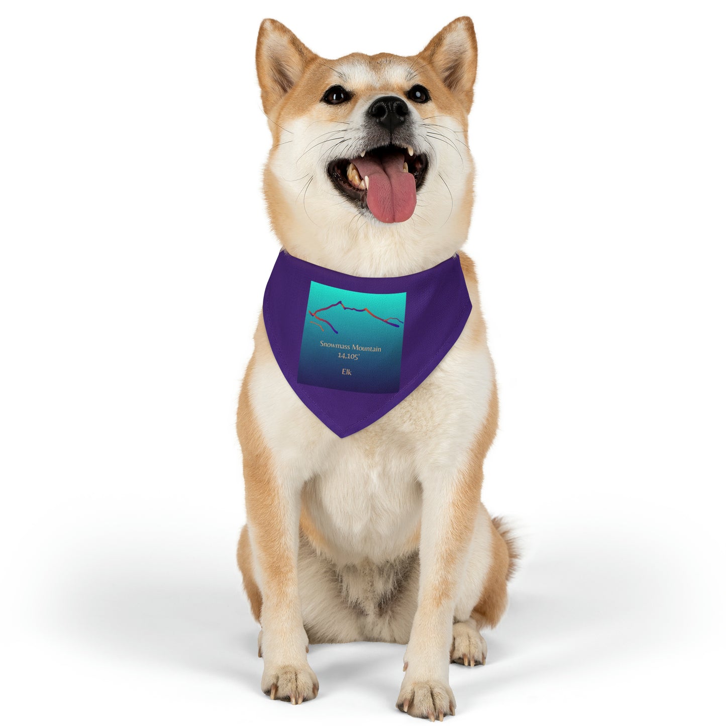 Snowmass Mountain 14er Pet Bandana Collar