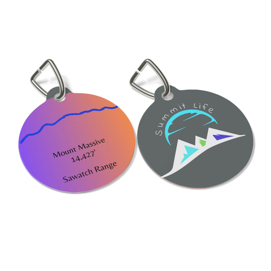 Mount Massive Pet Tag