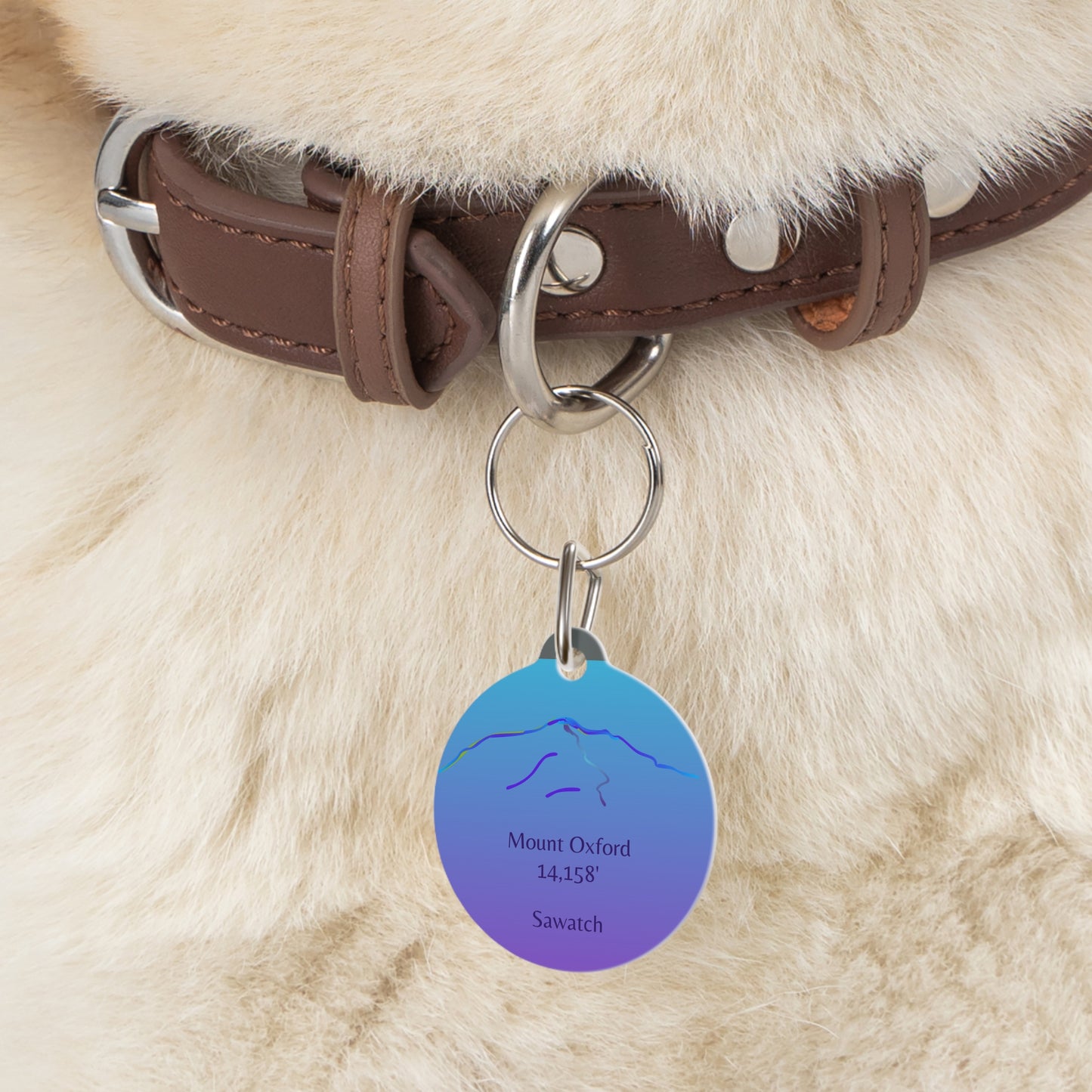 Mount Oxford Pet Tag
