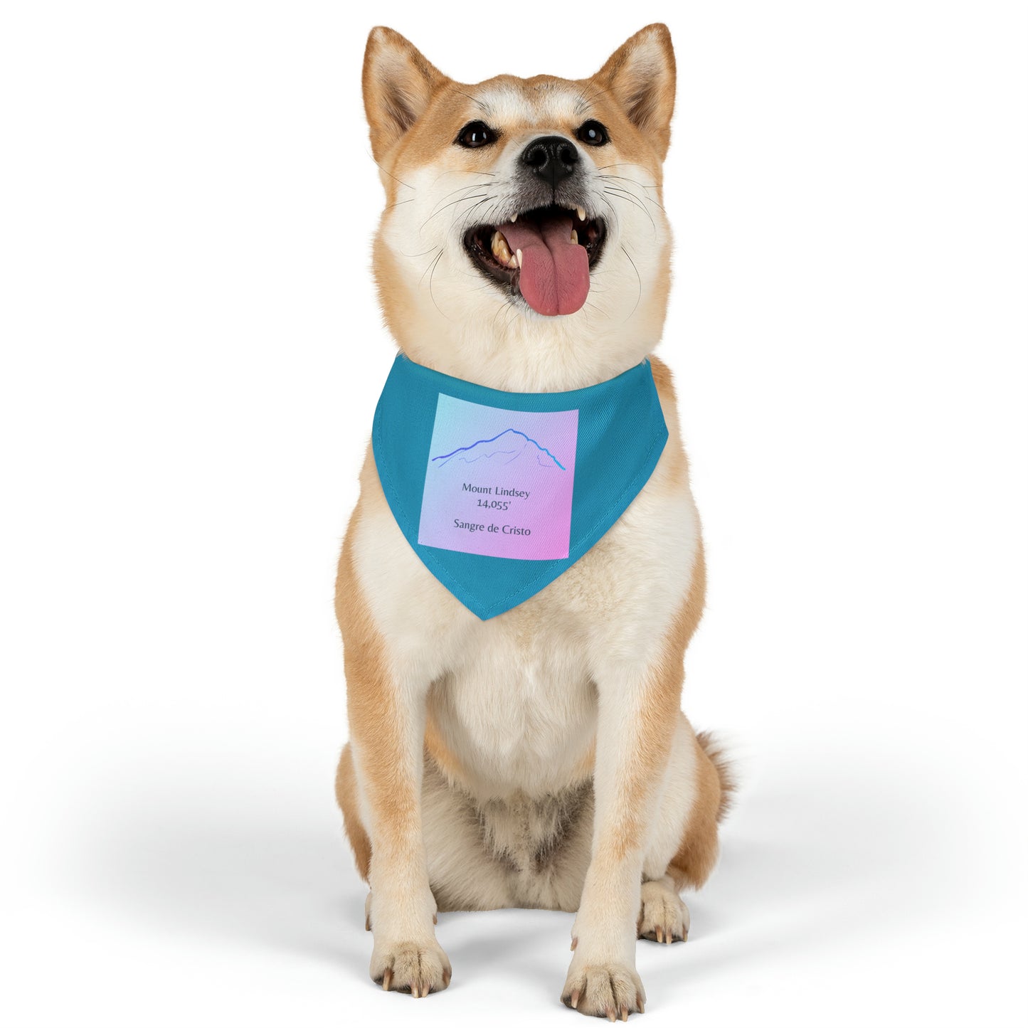 Mount Lindsey 14er Pet Bandana Collar