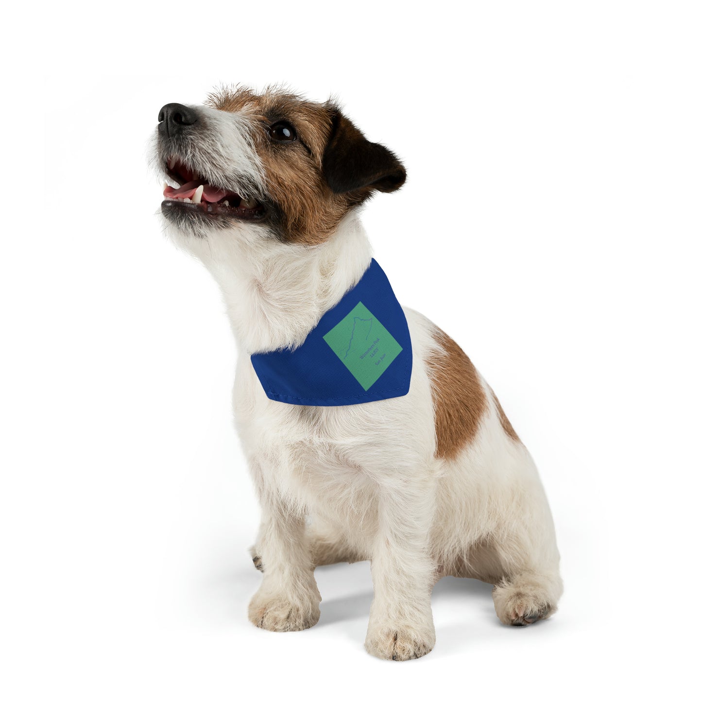 Wetterhorn Peak 14er Pet Bandana Collar