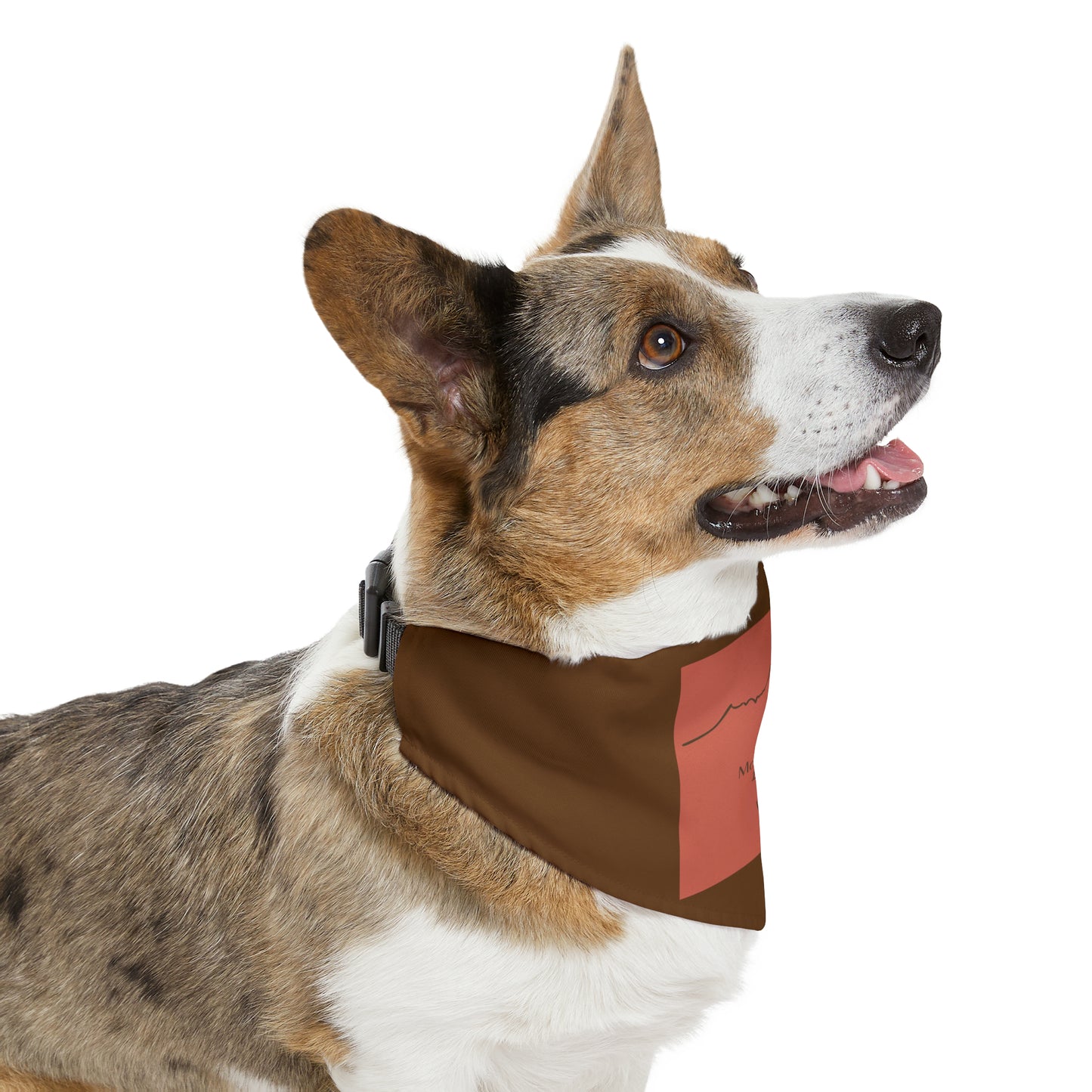 Mount Bierstadt 14er Pet Bandana Collar